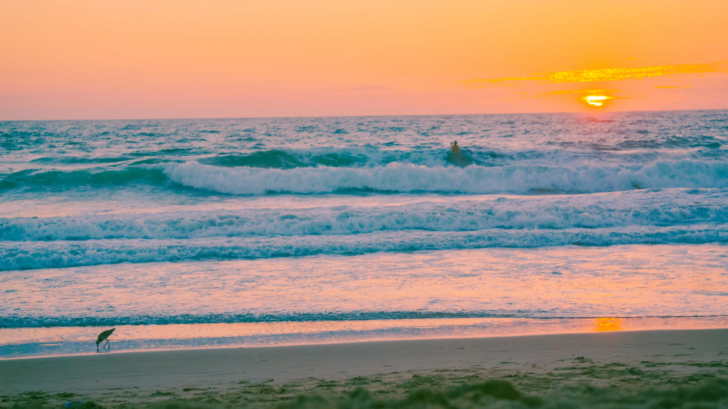 hermosa-31.jpg