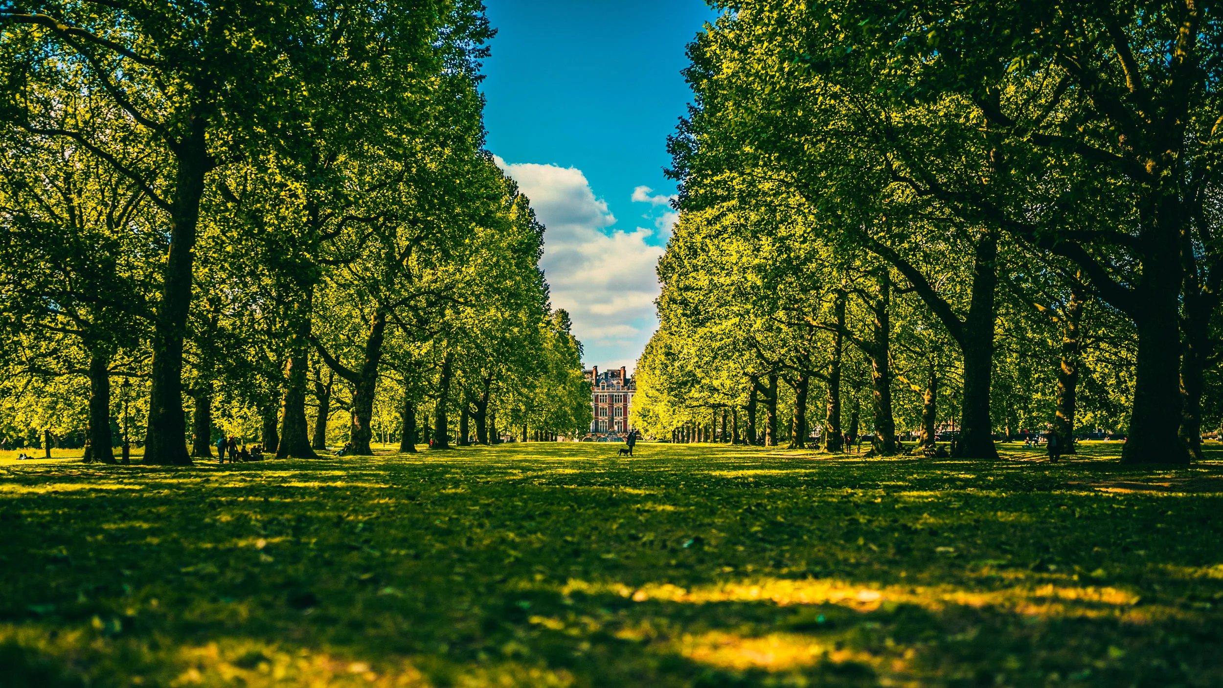 london finals-71.jpg