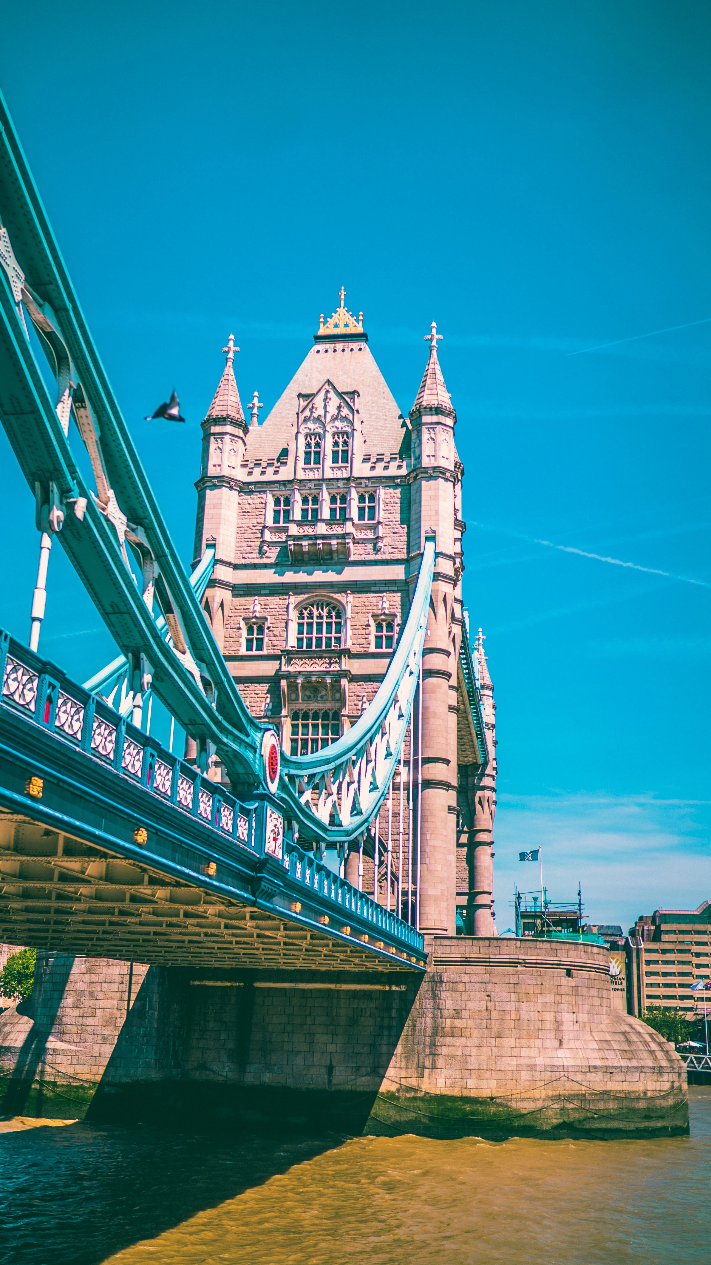 london finals-76.jpg