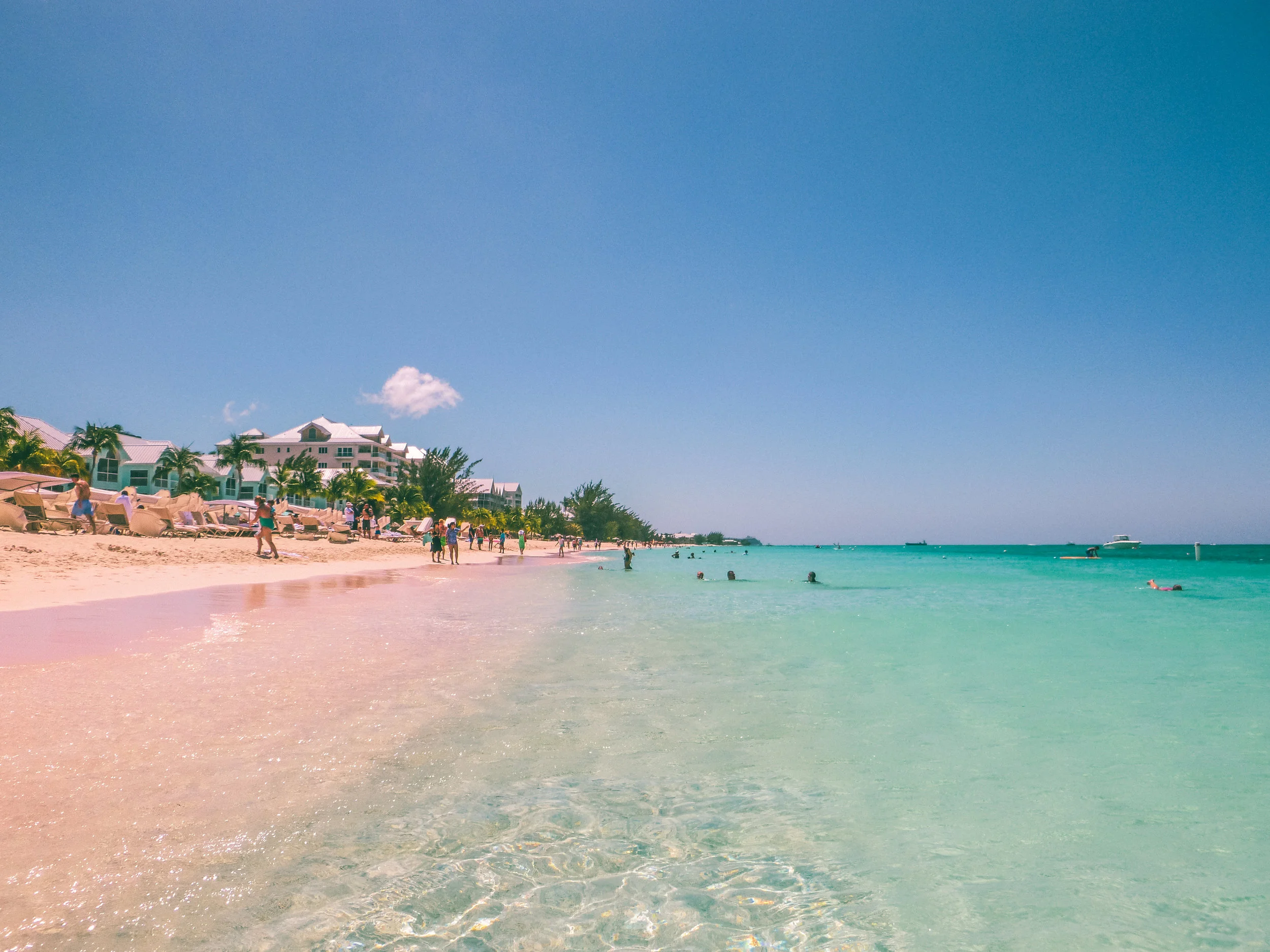 underwater camera-12.jpg