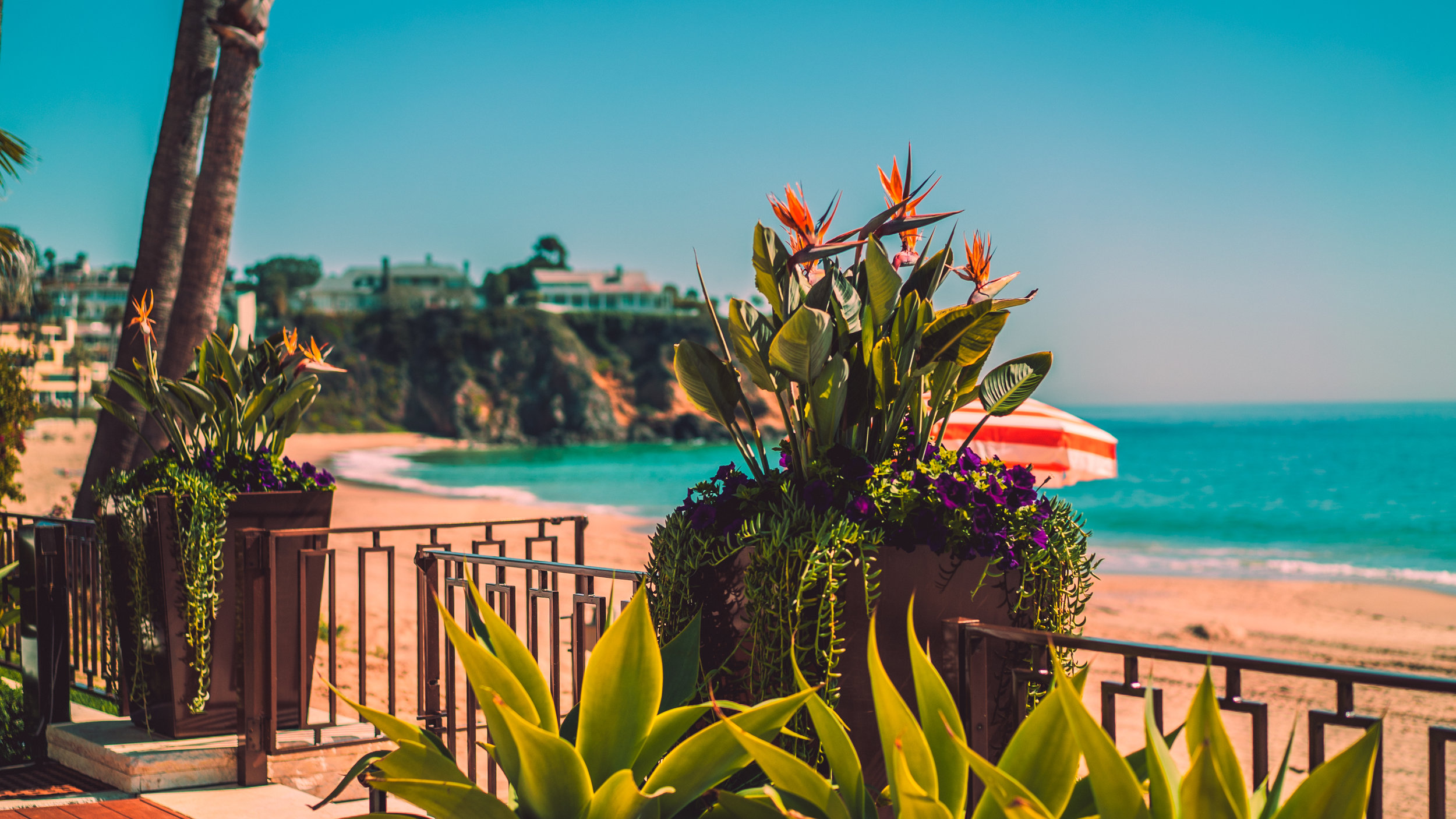 Probation Beach-20.jpg