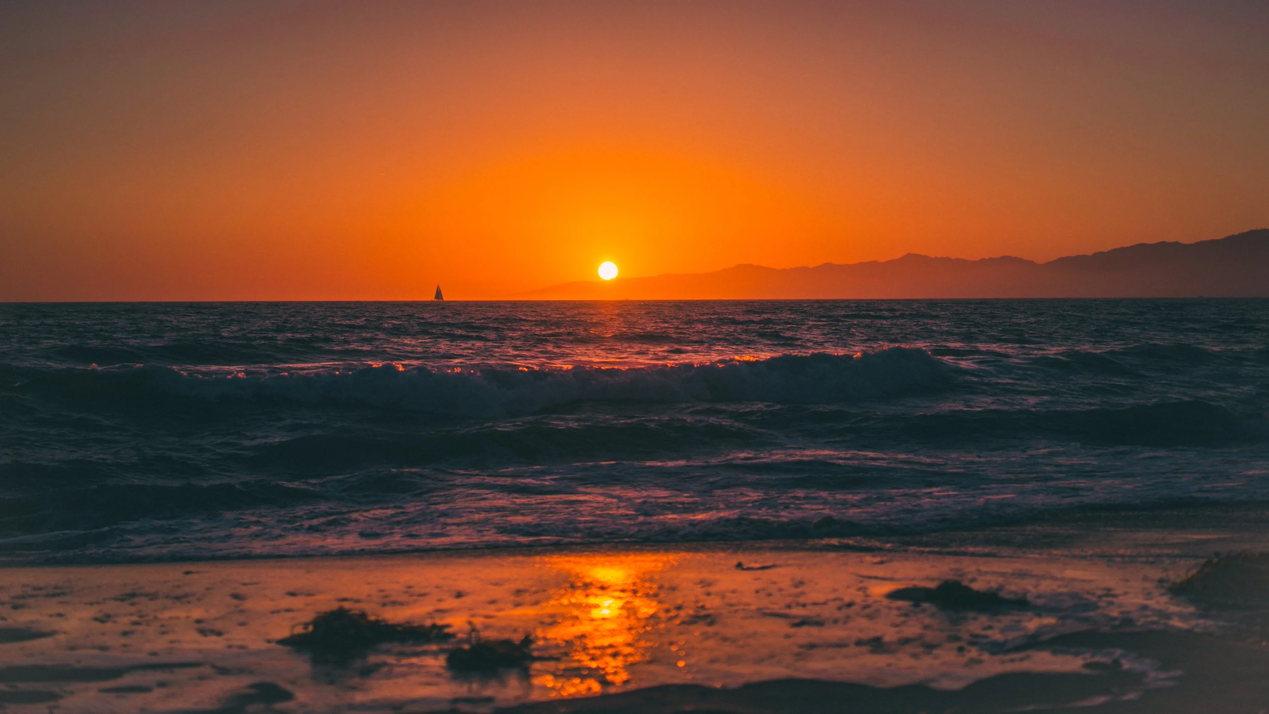 dockweiler drafts-3.jpg