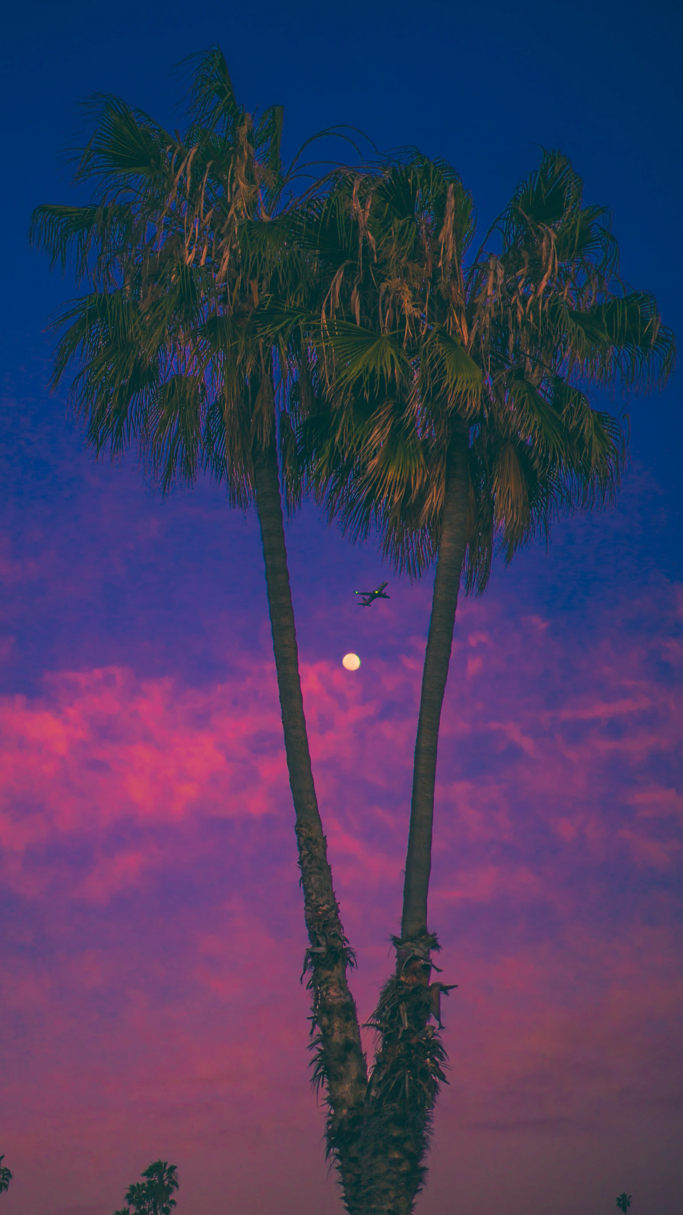 dockweiler drafts-4.jpg