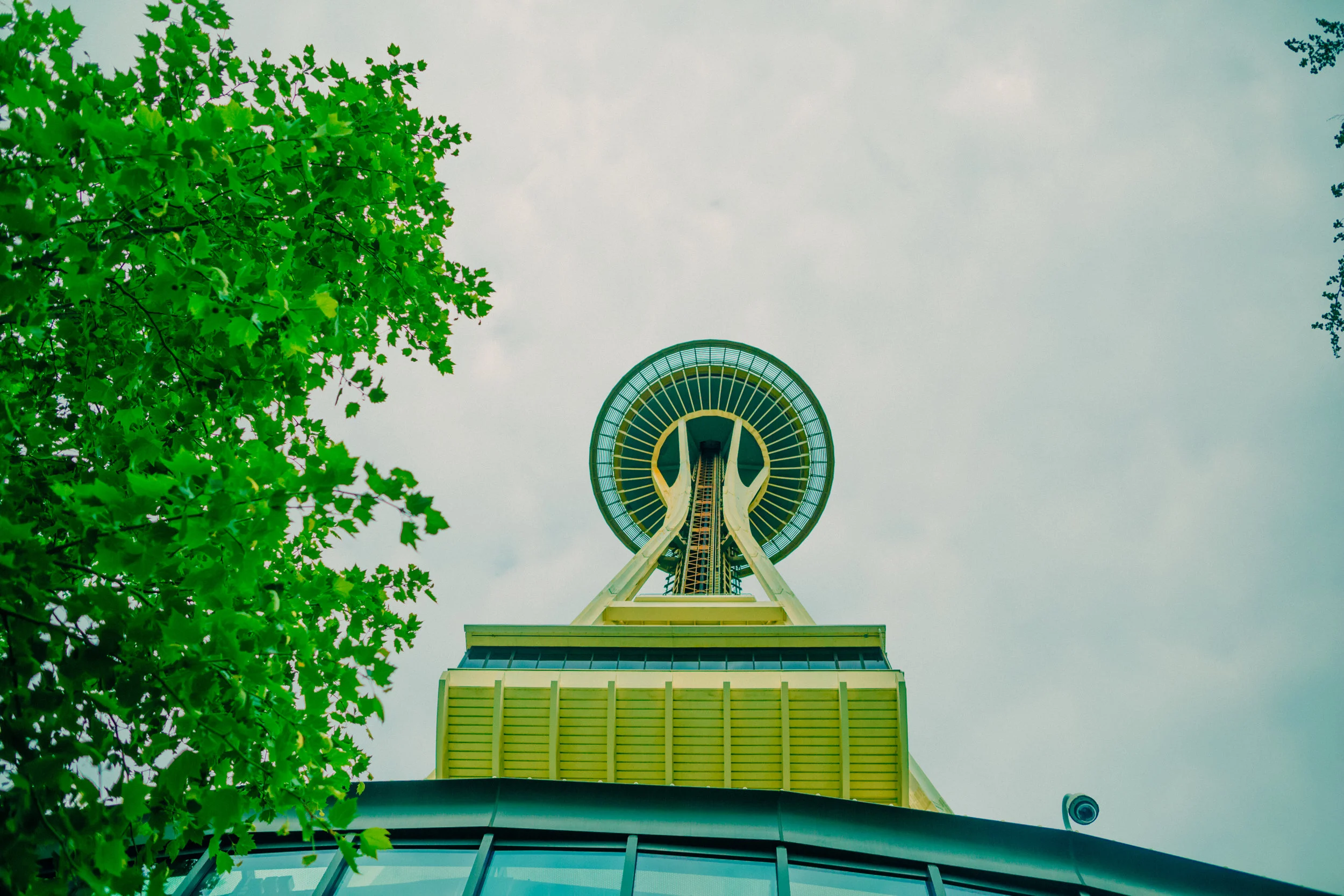 more seattle-9.jpg