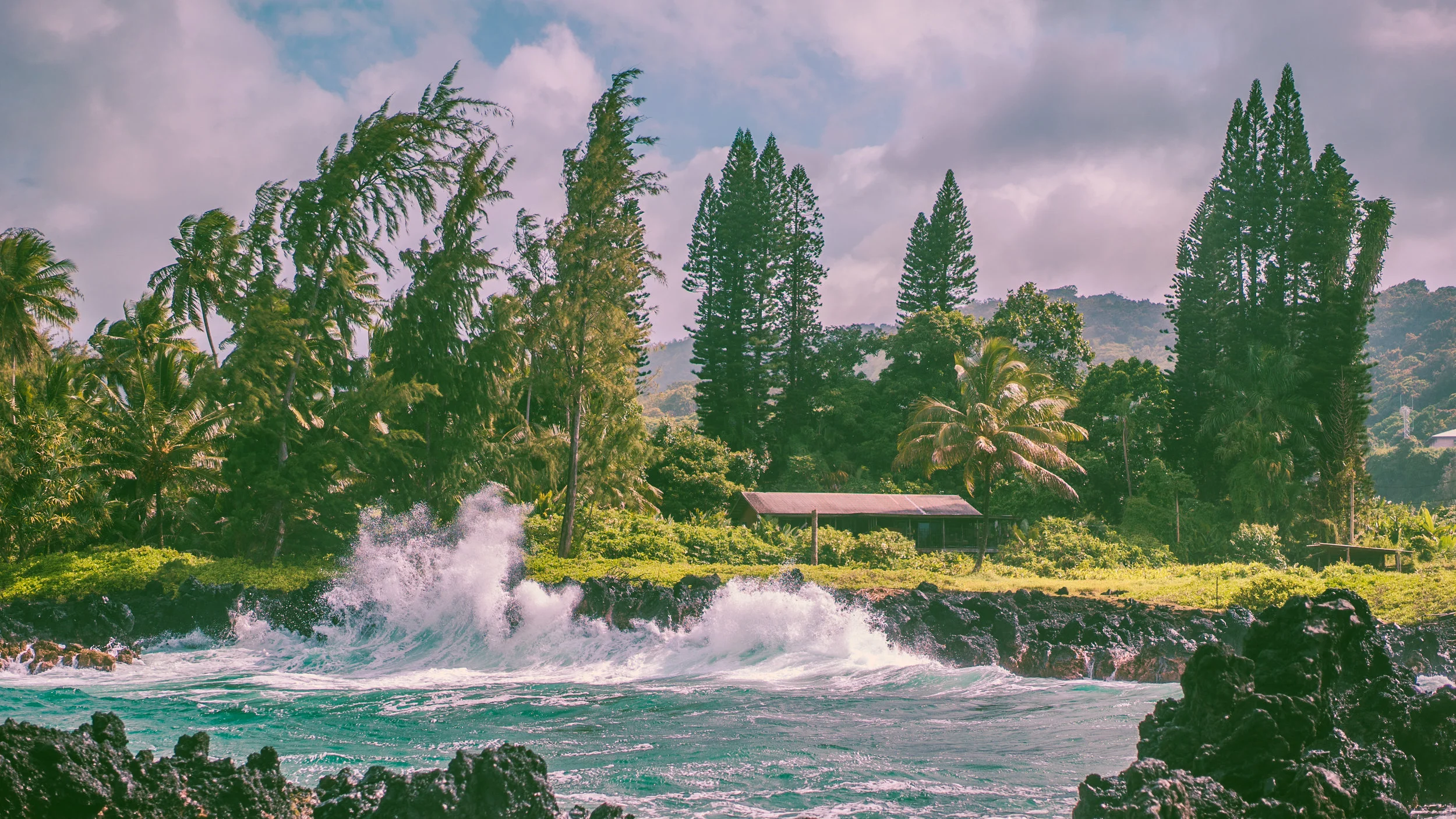 hawaii mas-9.jpg