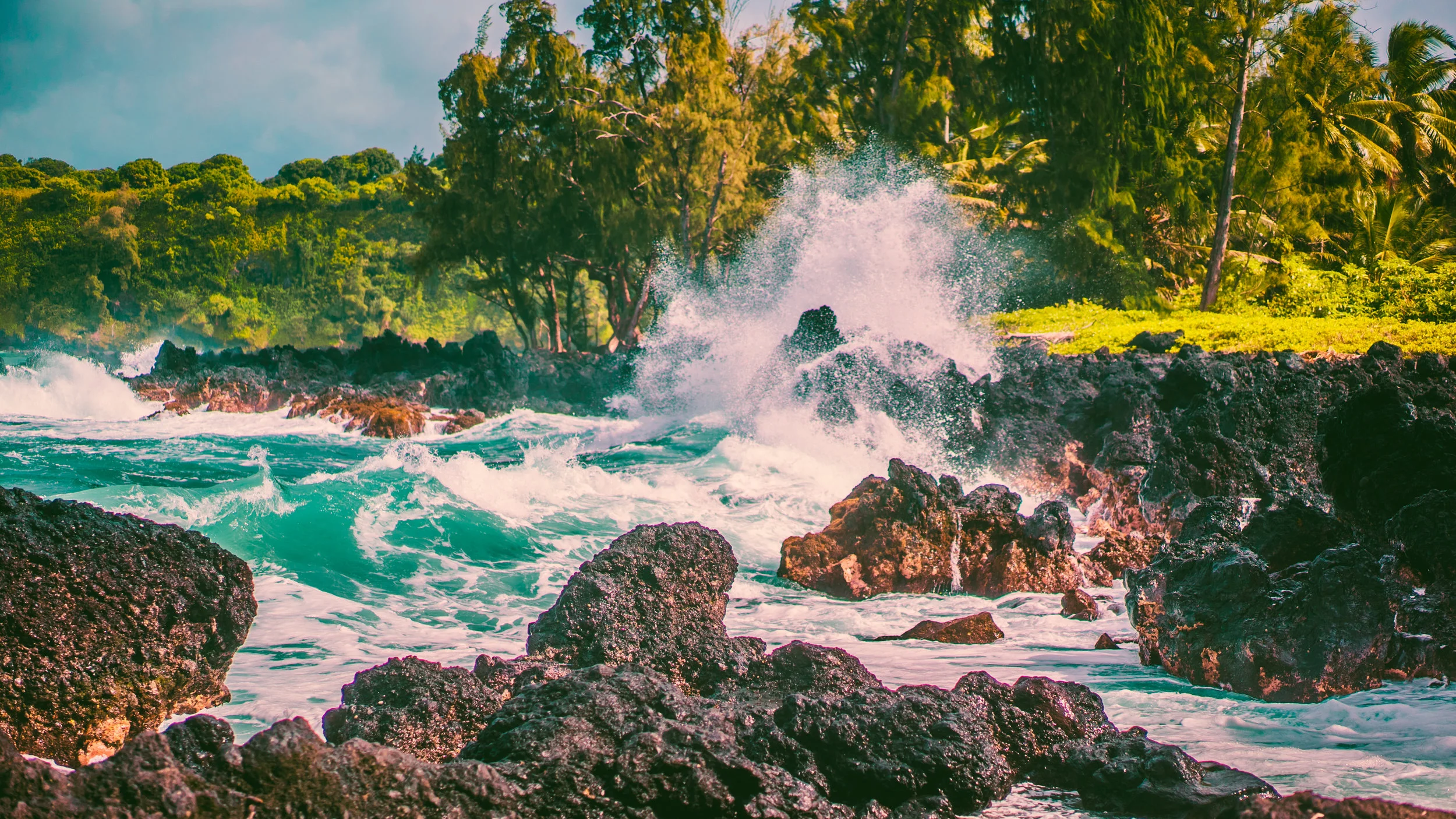 hawaii mas-13.jpg