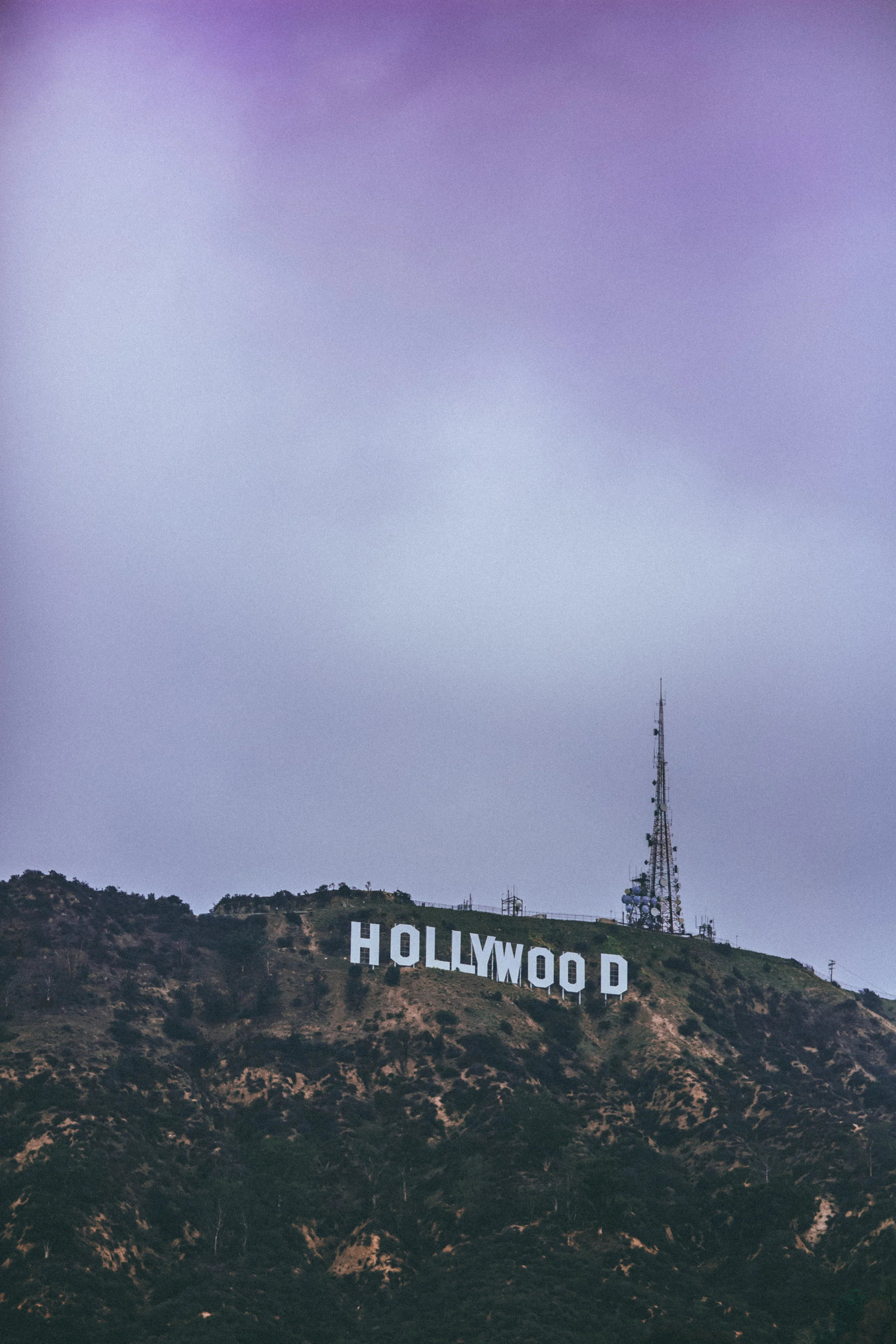 Hollywood Roman-28.jpg
