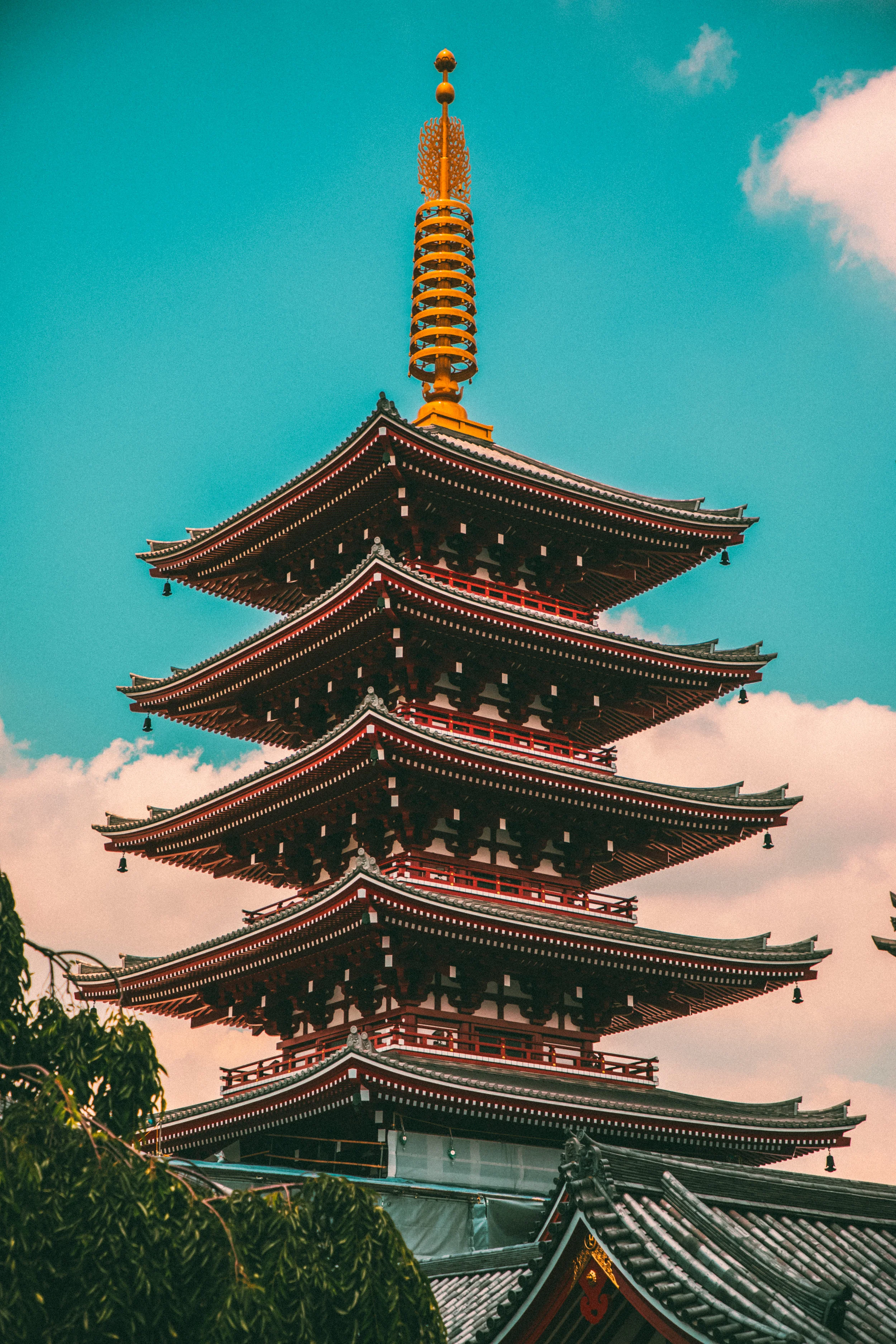 tour of tokyo-9.jpg