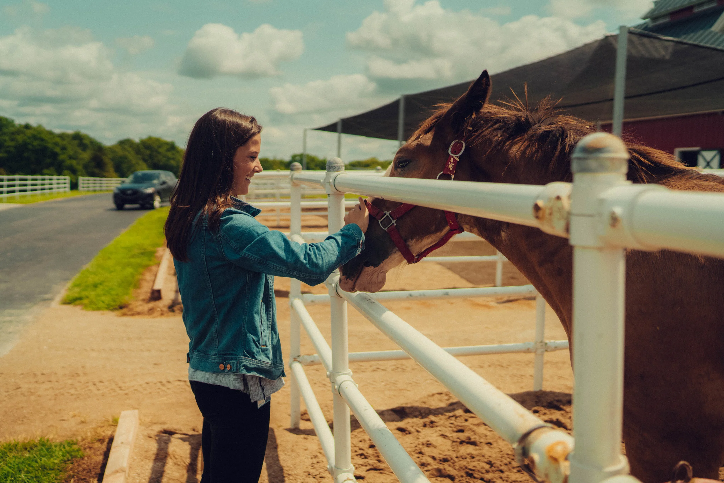 clydesdale farm-28.jpg