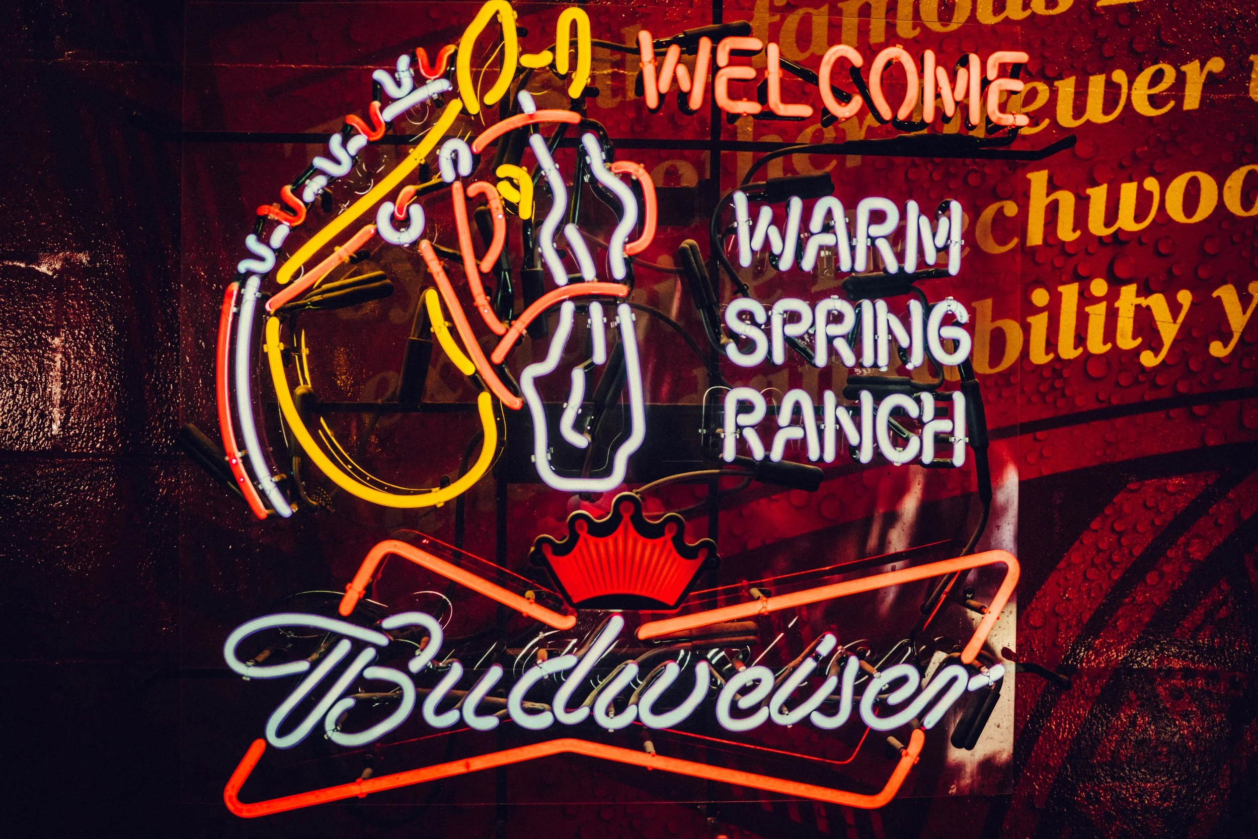 clydesdale farm-3.jpg