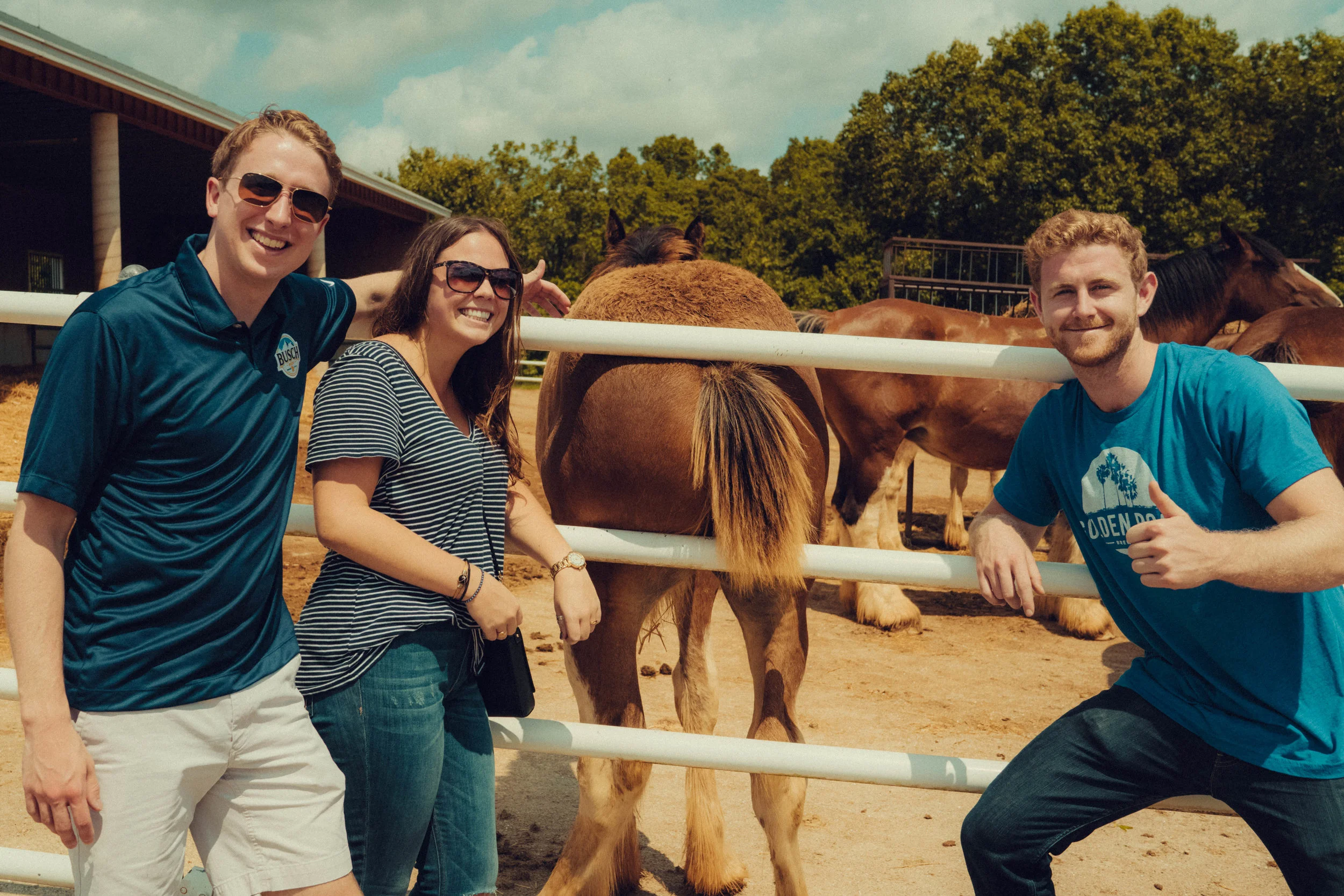 clydesdale farm-11.jpg