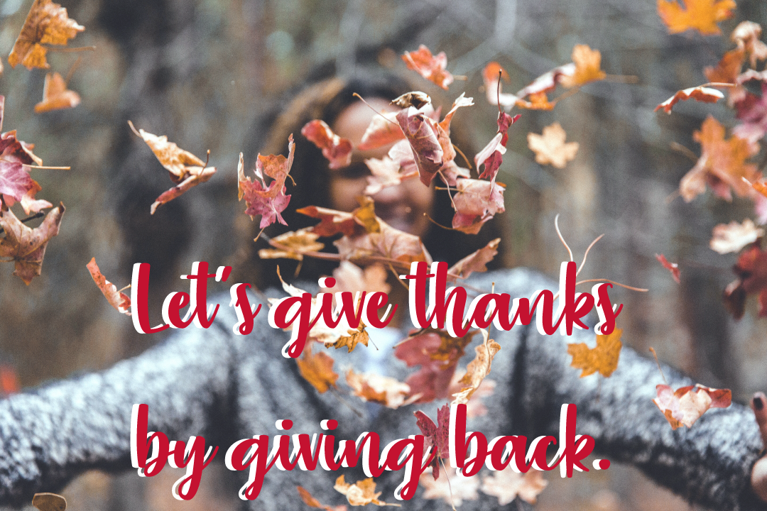 give-thanks-campaign.png