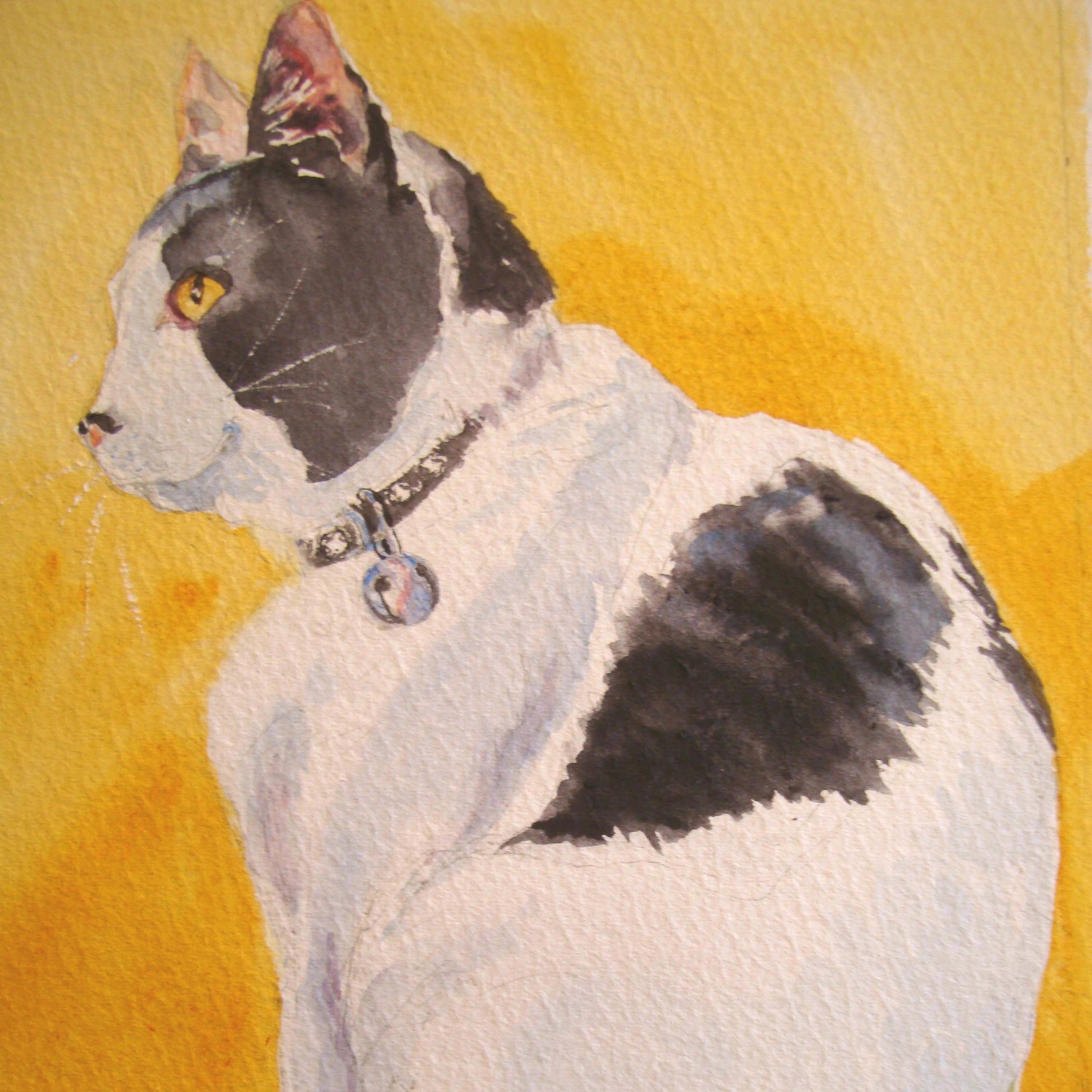 Pirrot in Profile - watercolor 5x7.jpg