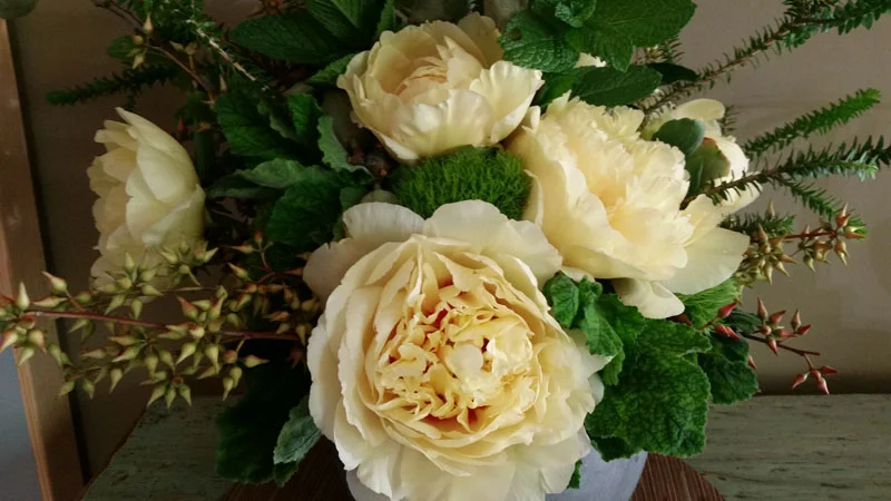 yellow peonie.jpg