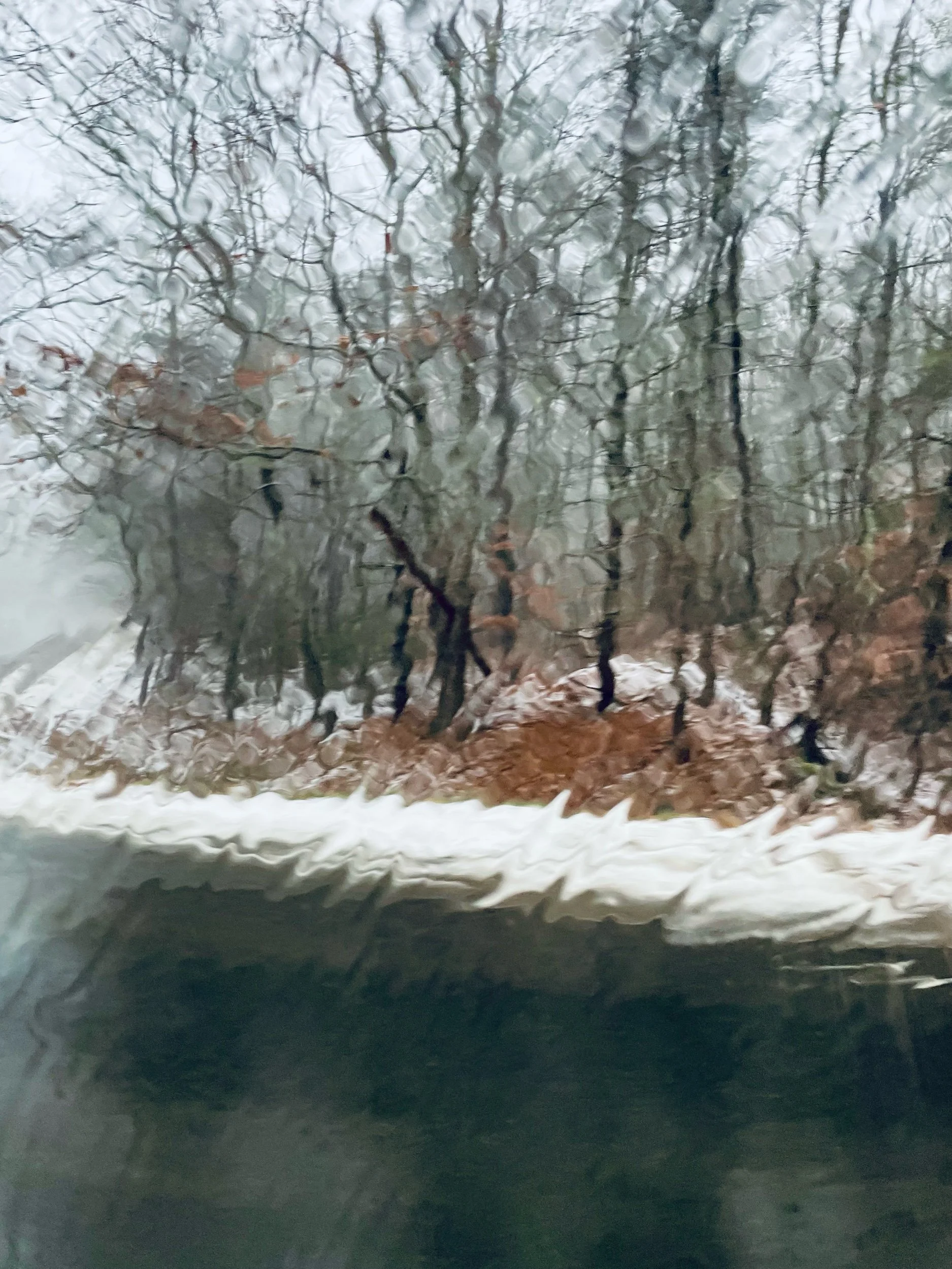IMG_4539.jpeg