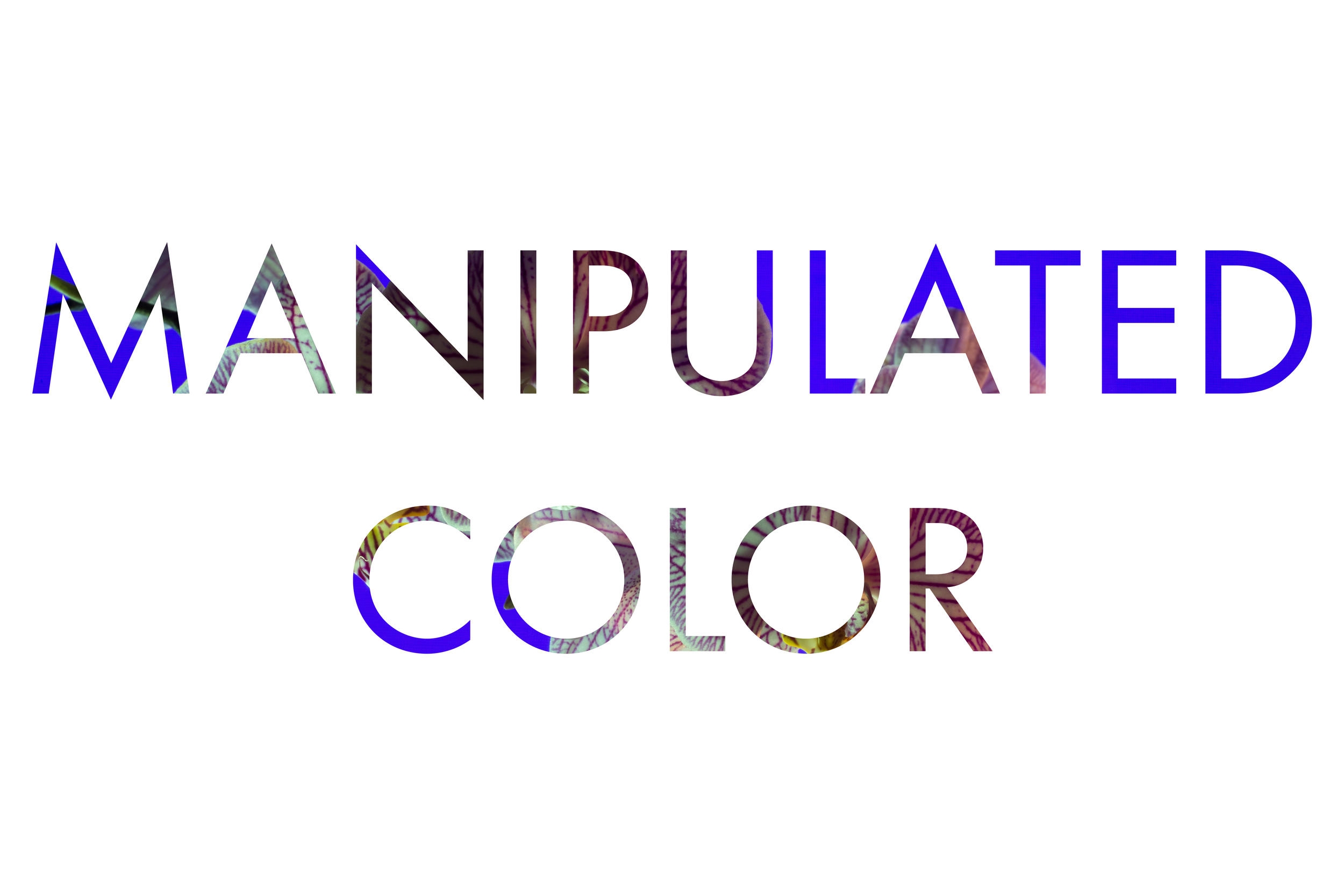 Manipulated Color.jpg