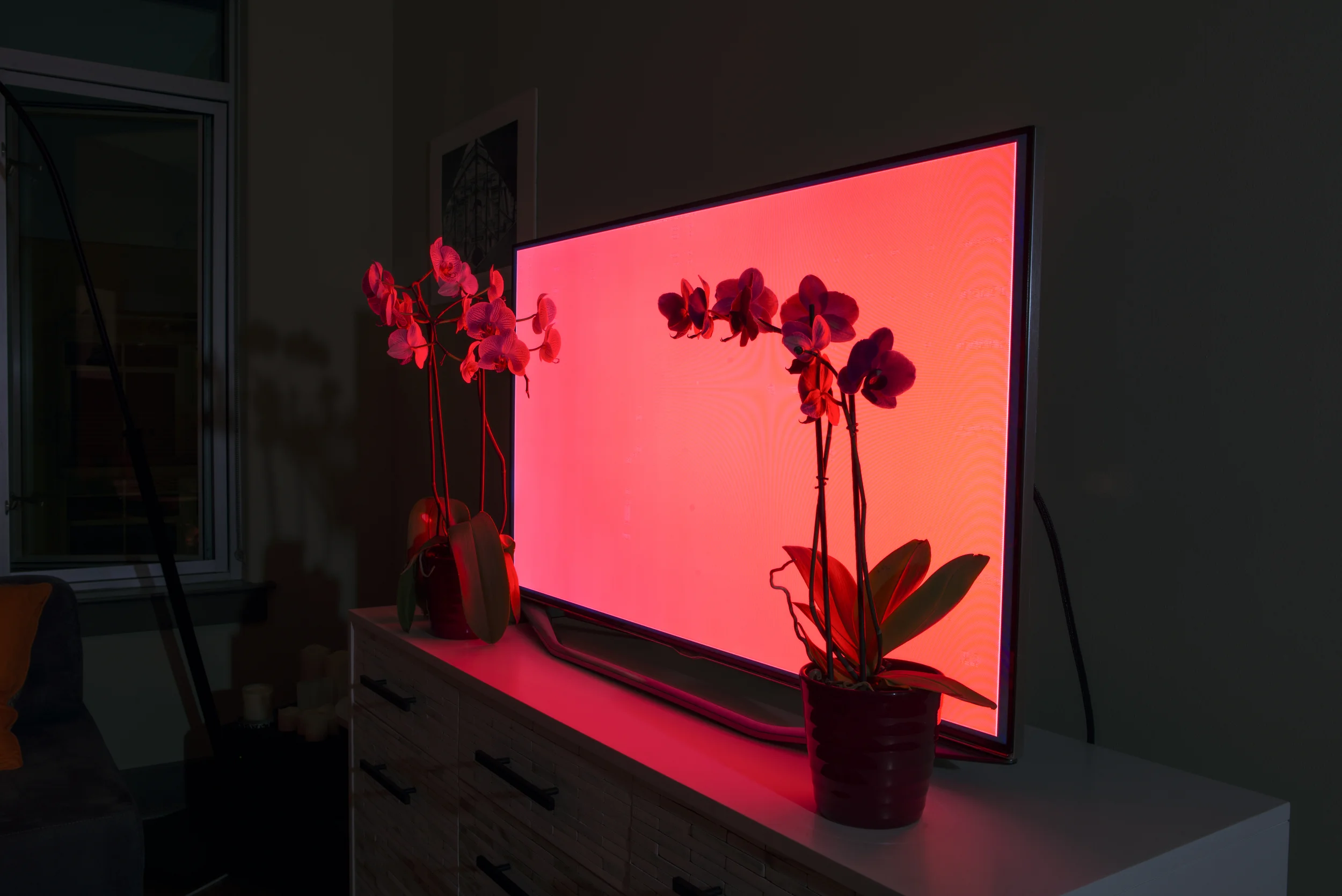 Manipulated Color 5.jpg