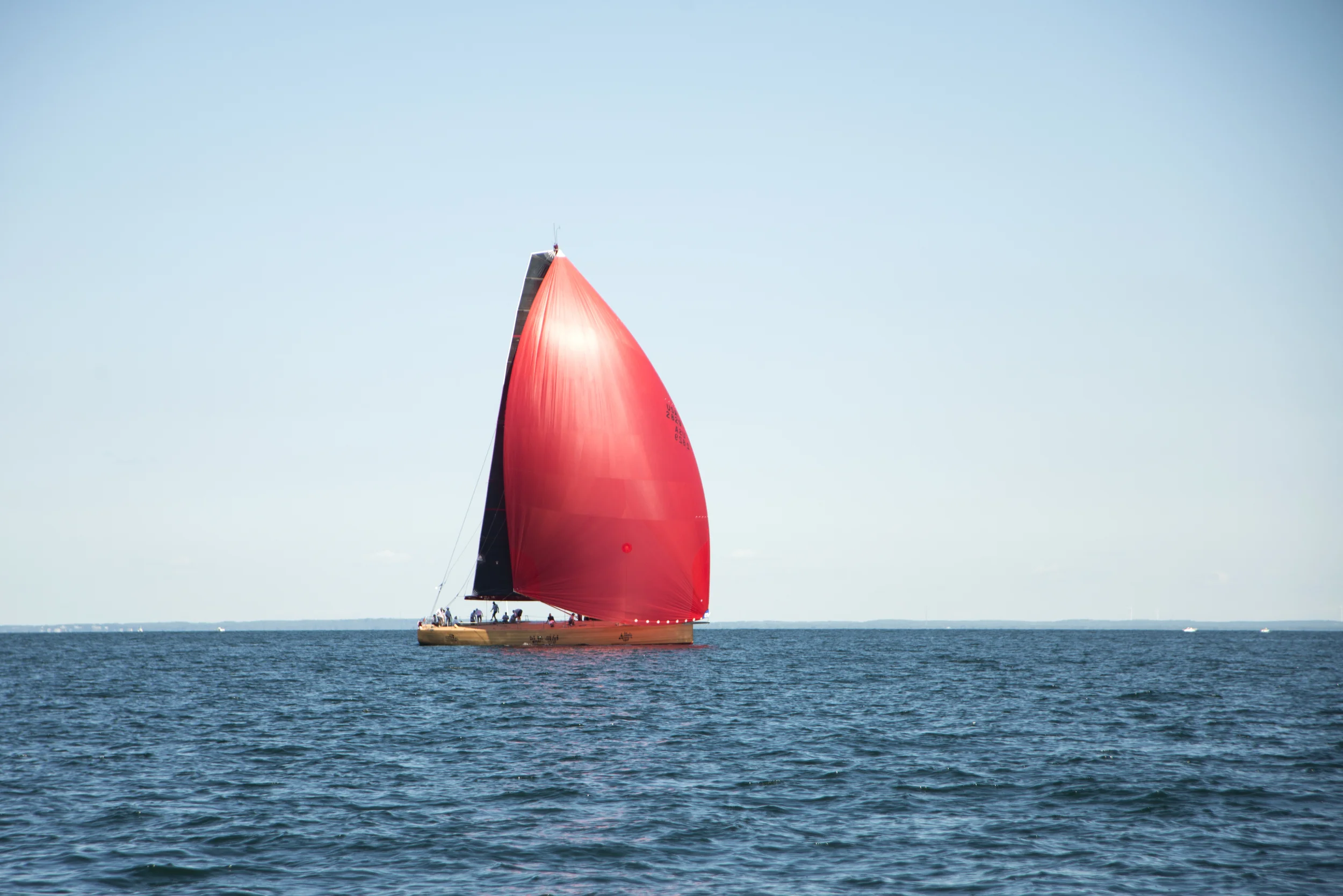 DSC_9811.jpg