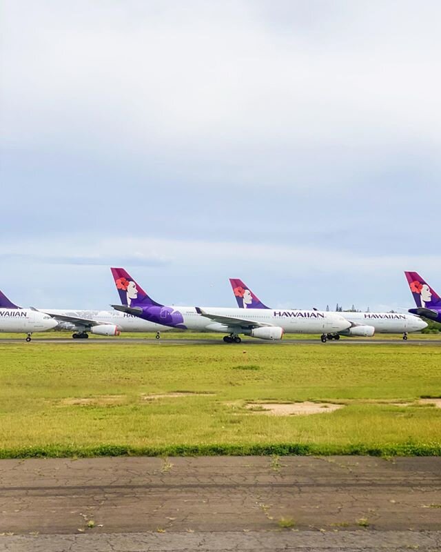 Layover - 14 Hawaiian Airlines planes parked on the runway at HNL. I was one of 26 residents that flew into Maui that day.