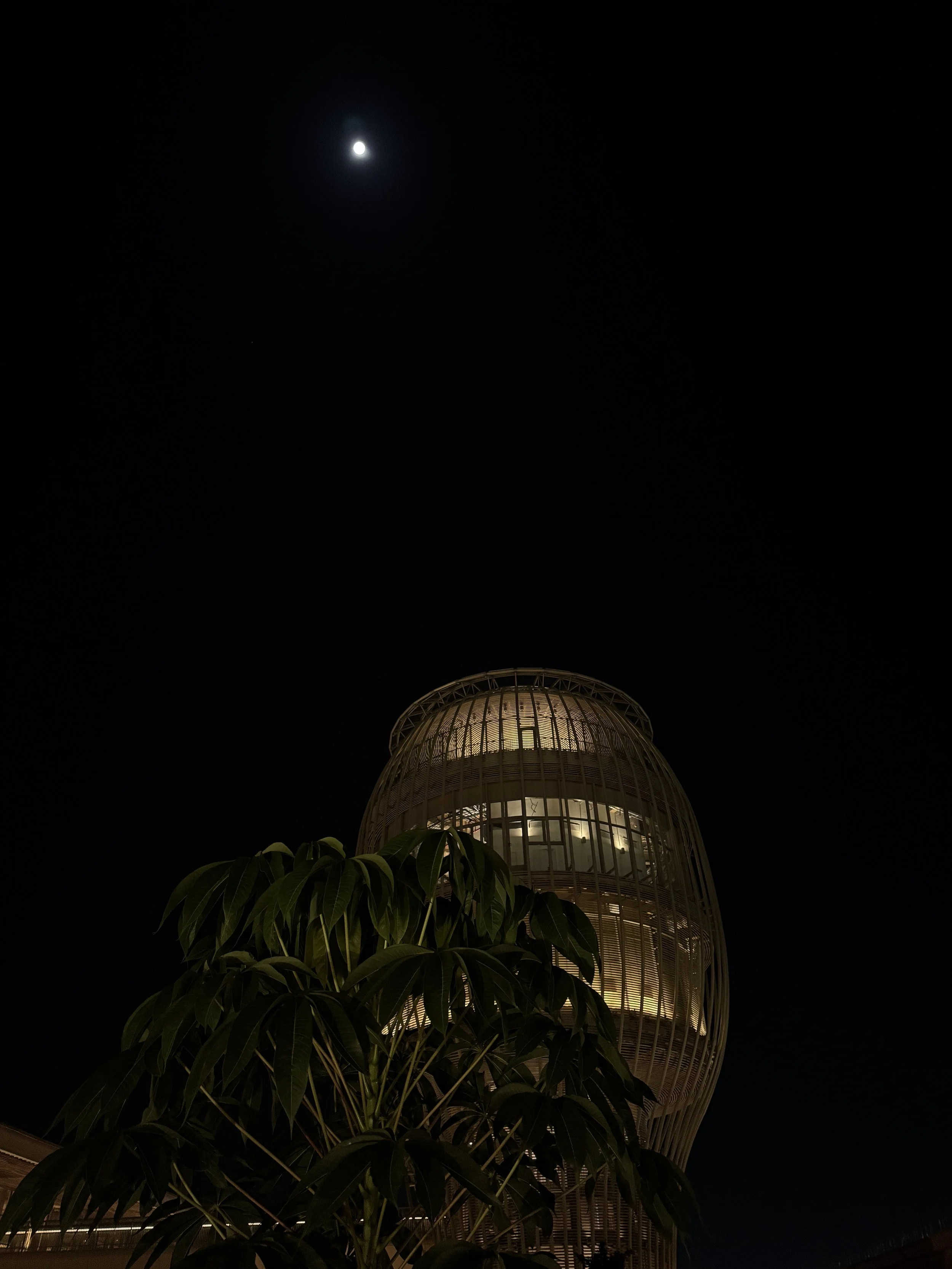 IMG_7608.JPG