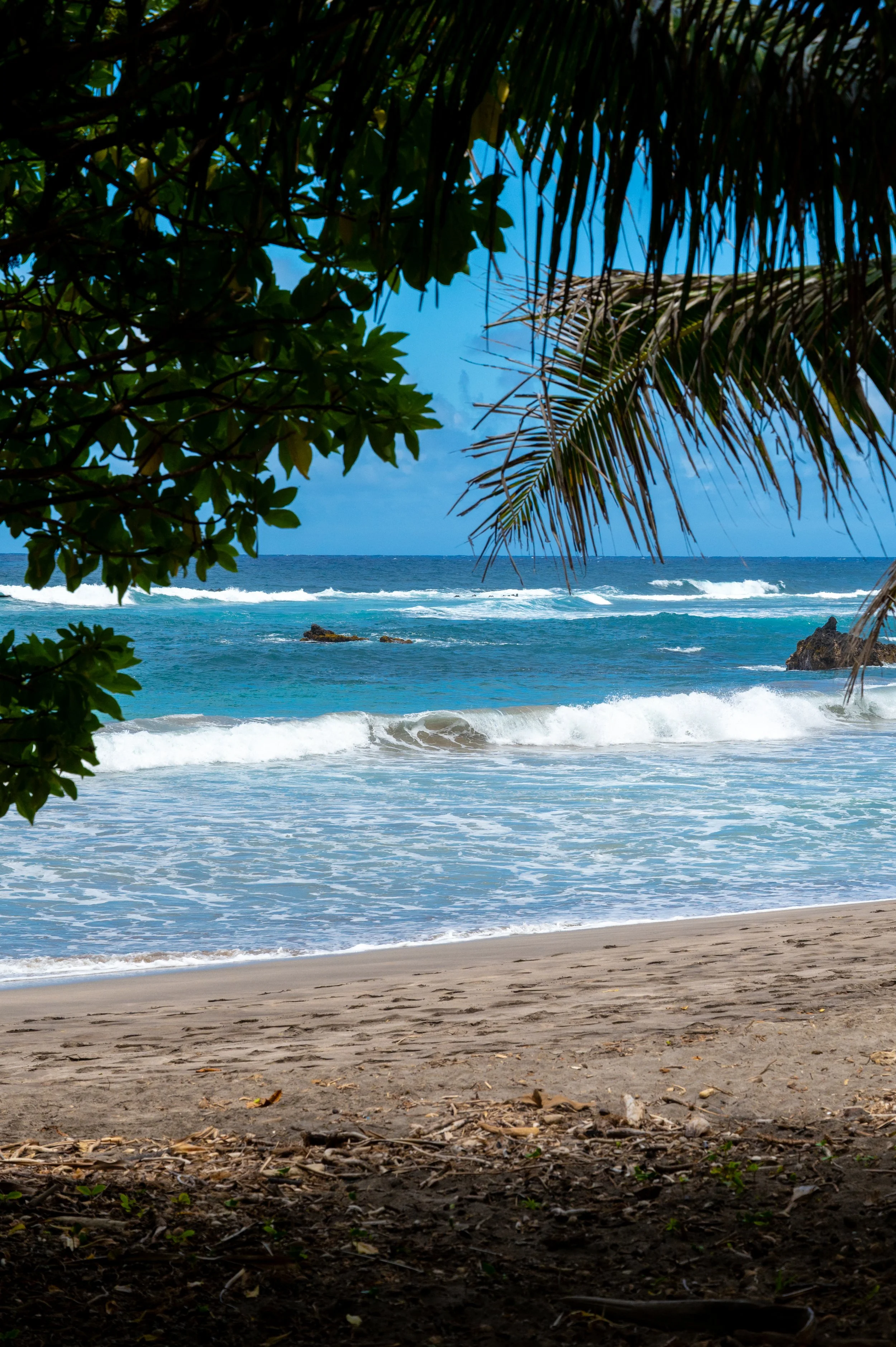 Hawai'i