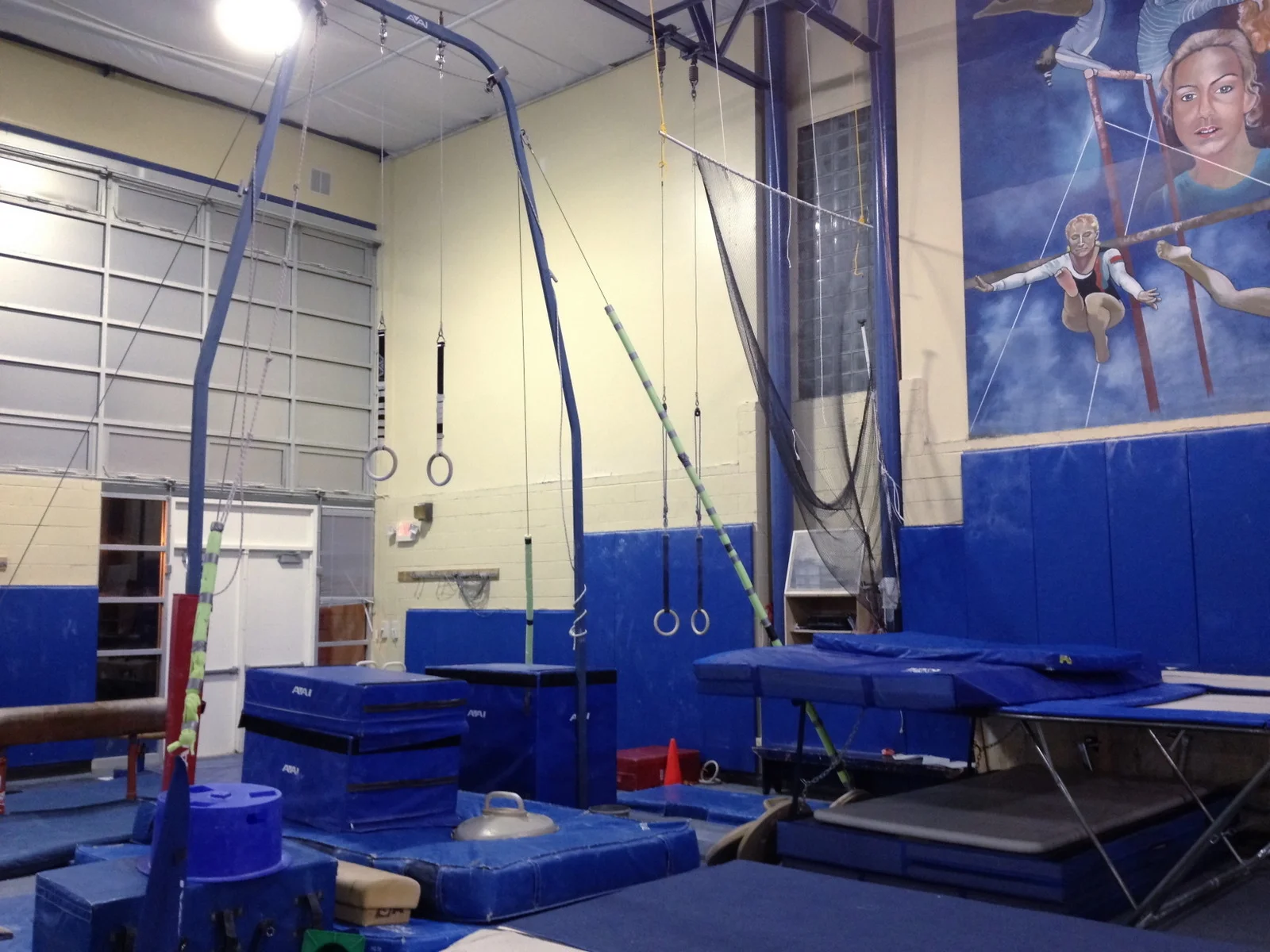  Rings, AAI  Pommel Horse, AAI/S 