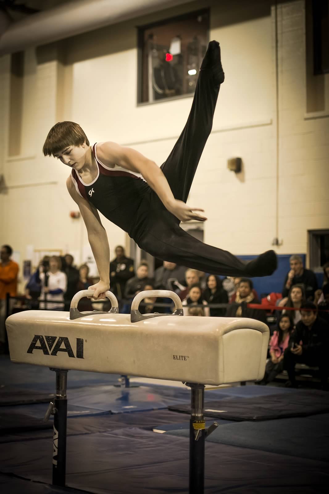 A Level 9 on the pommel horse during the 2013 BWI.