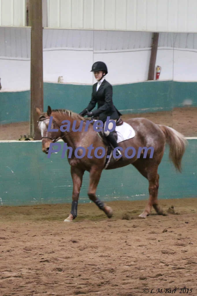 IEA-22011