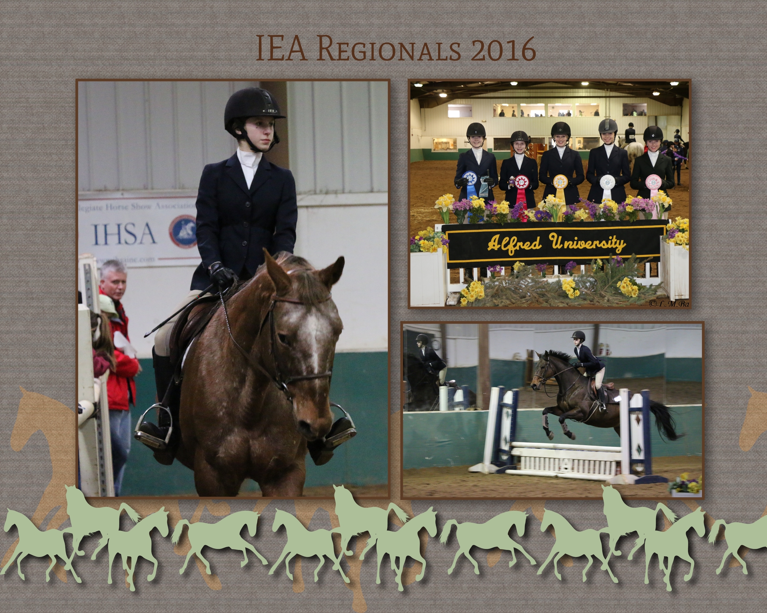 Horse background in brown