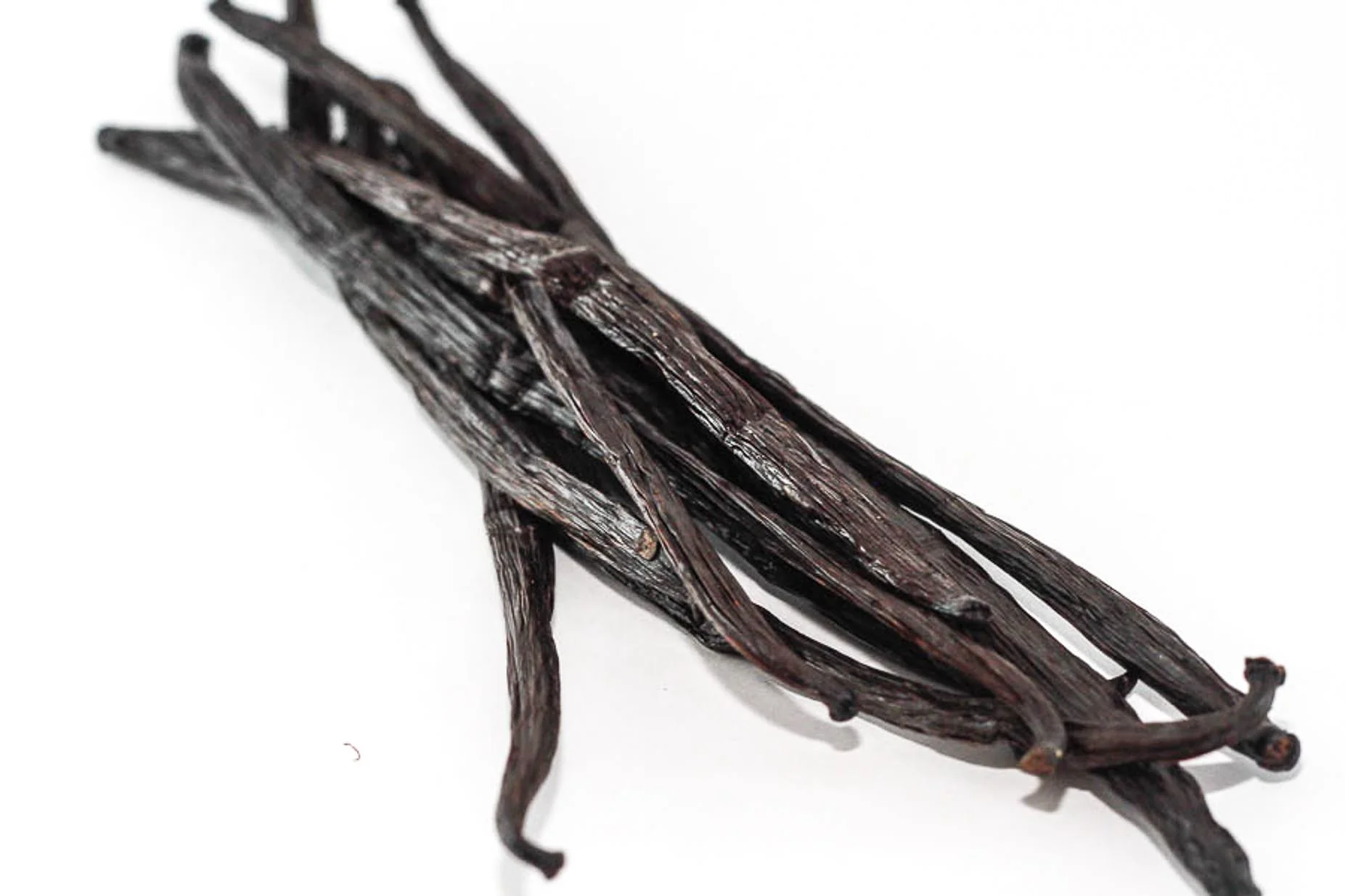 vanilla bean (2).JPG