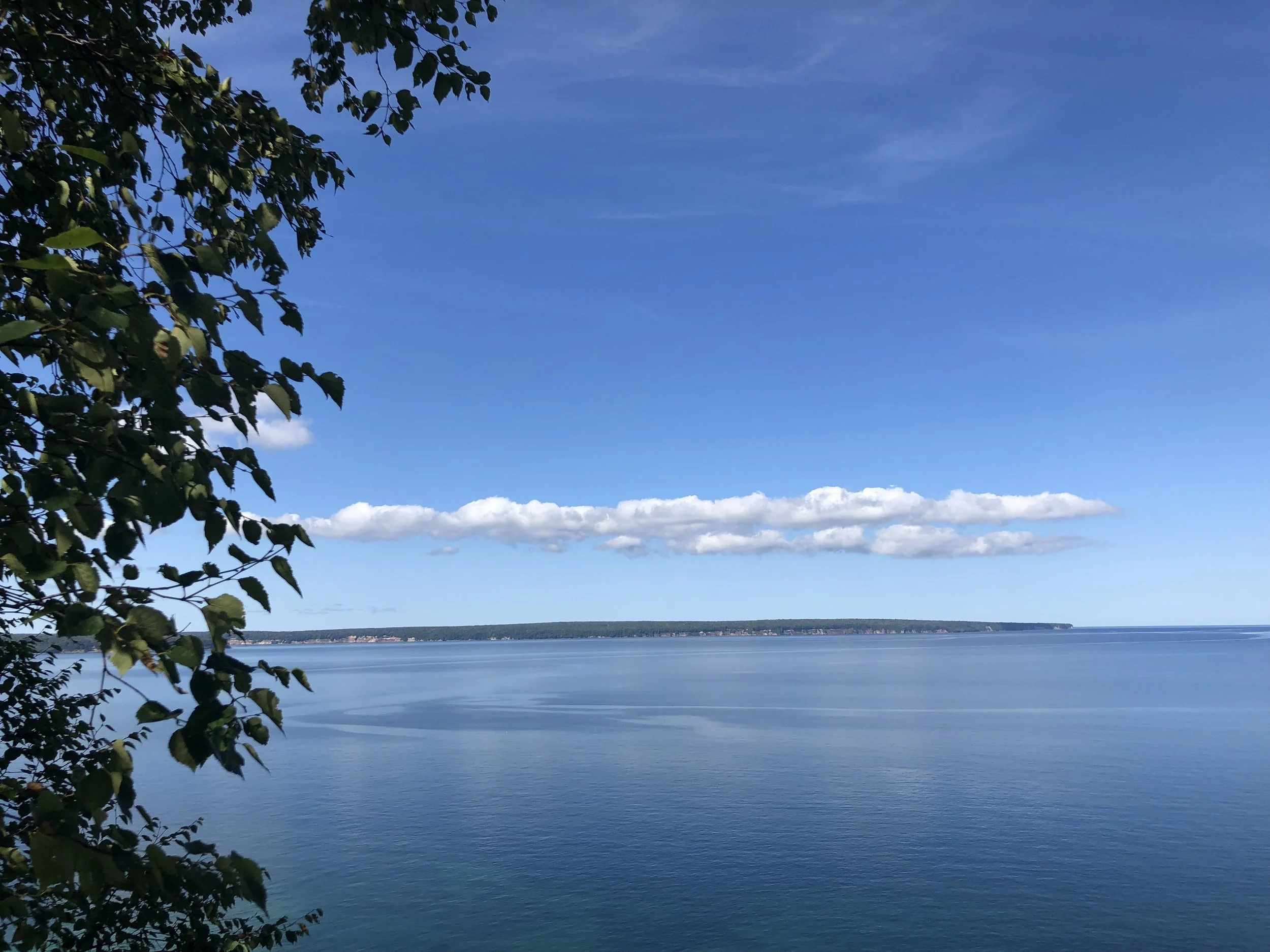 INGREDIENTS QUIZ [REVIEW]