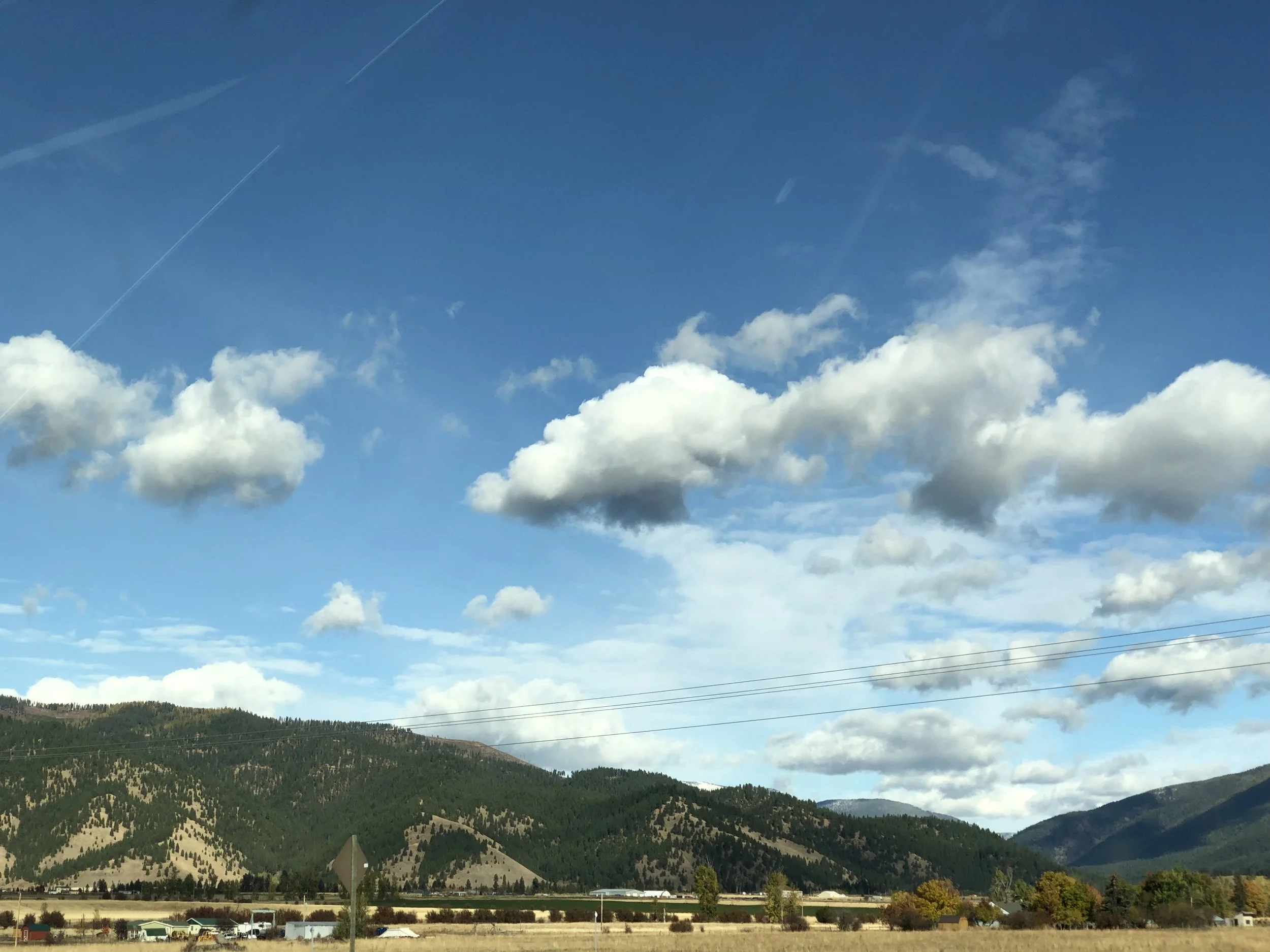 YOUNG AS GIRLS [REVIEW]