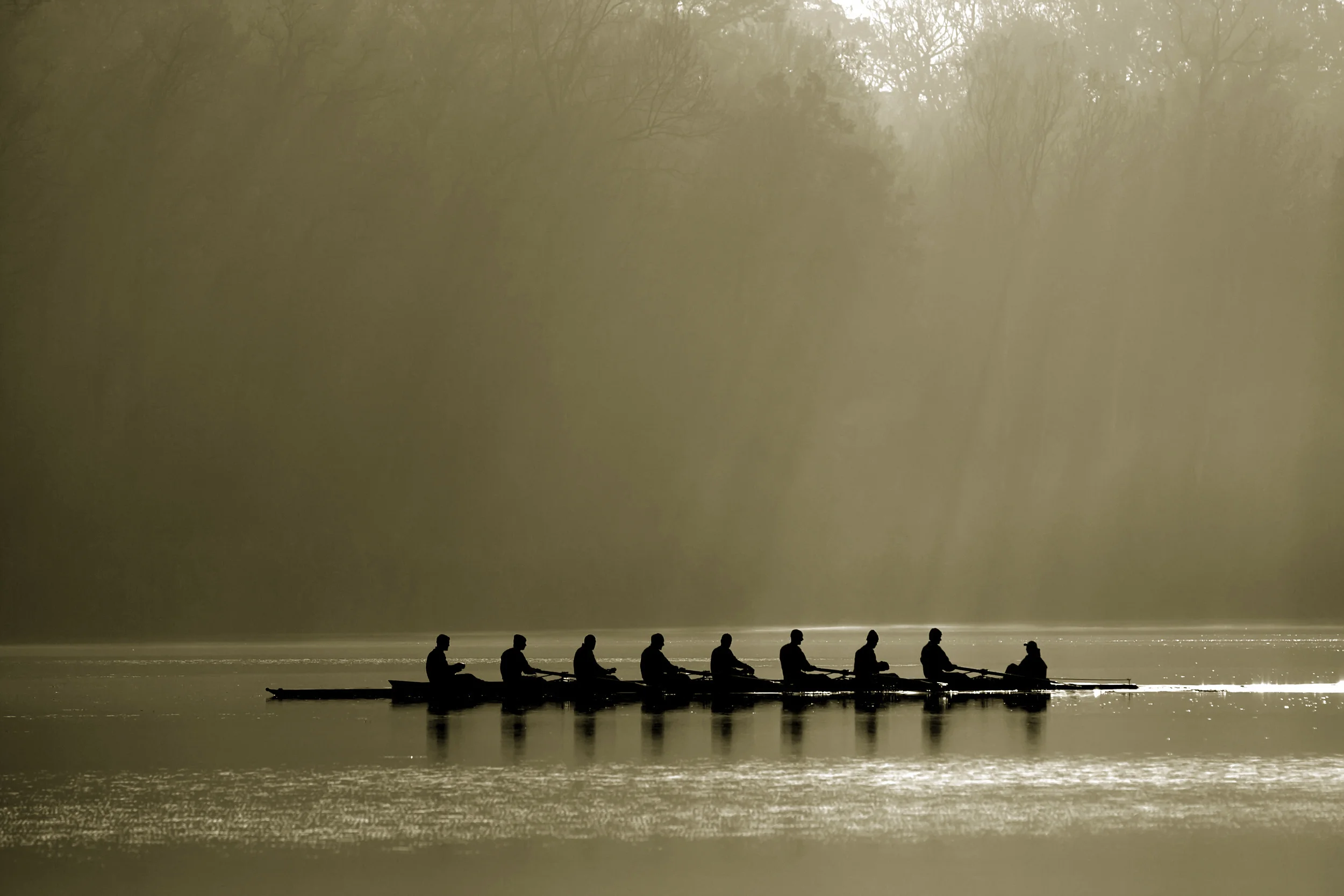 iStock_000006372430Medium.jpg