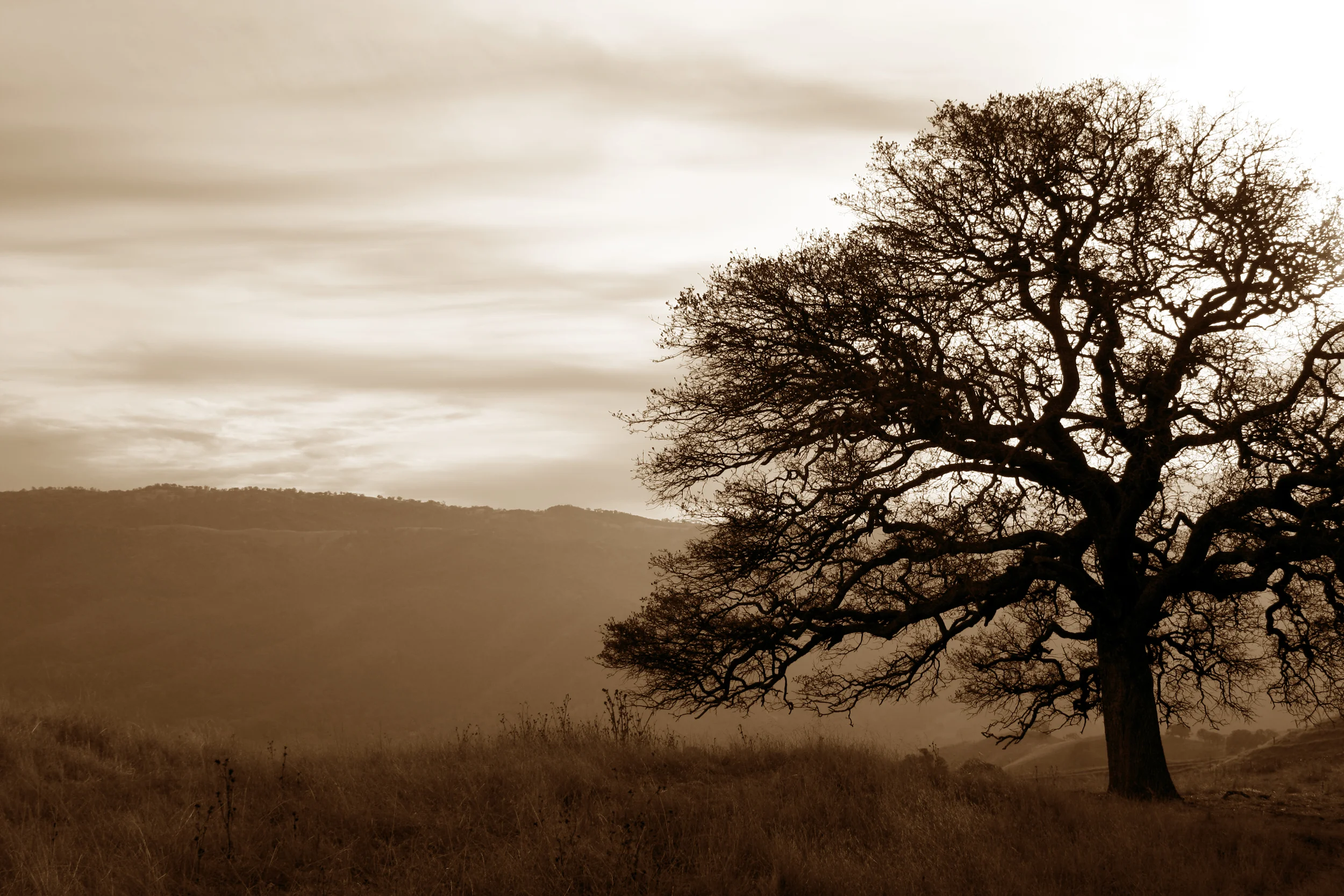 iStock_2579082Large_fixed.jpg