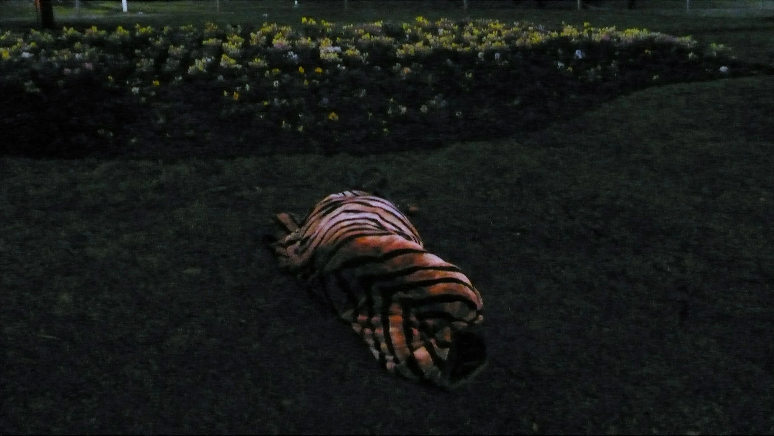   Outside Central Station,  pigment print, 110cm x 67cm 