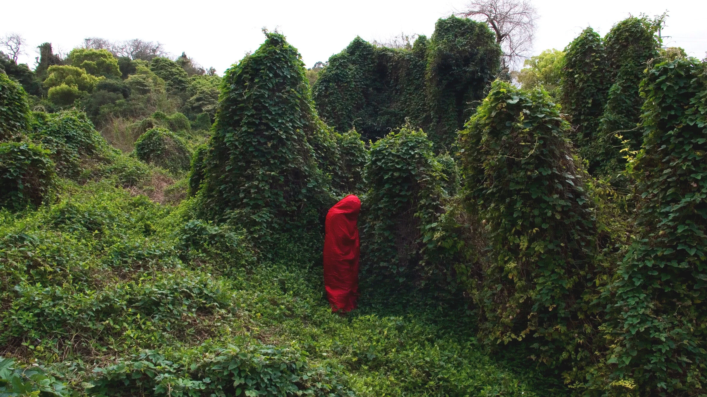   Strangelands 3, pigment print, 110cm x 67cm.   