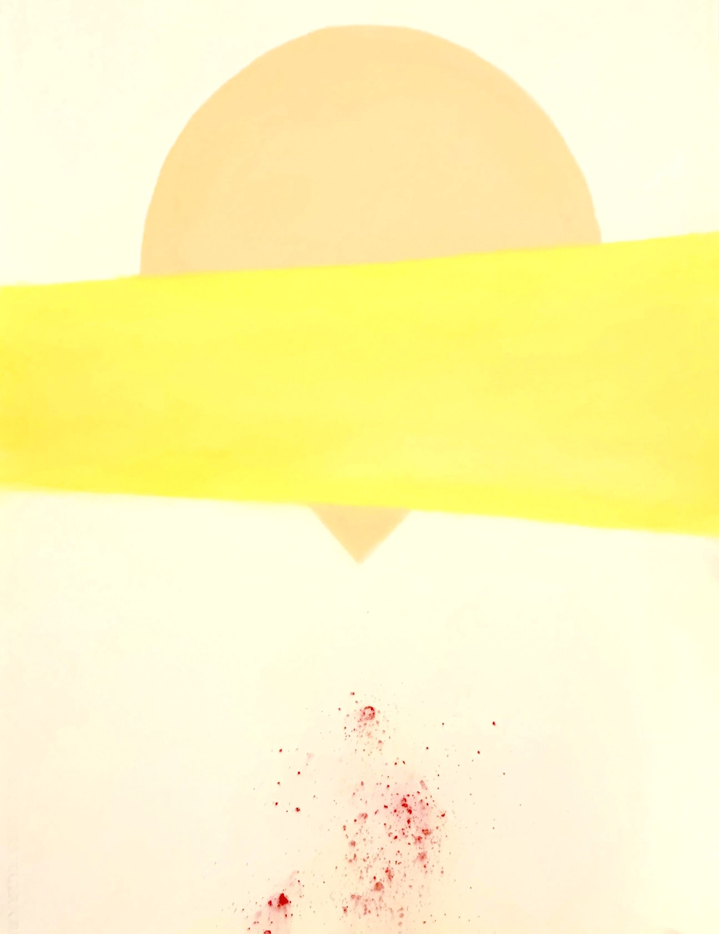  Radial dance of hidden elements 3, chalk pastel on archival wateford paper 76cm x 54cm  