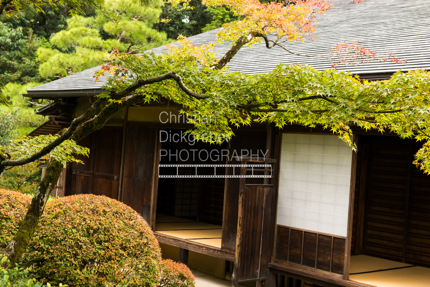 Zen Garden I