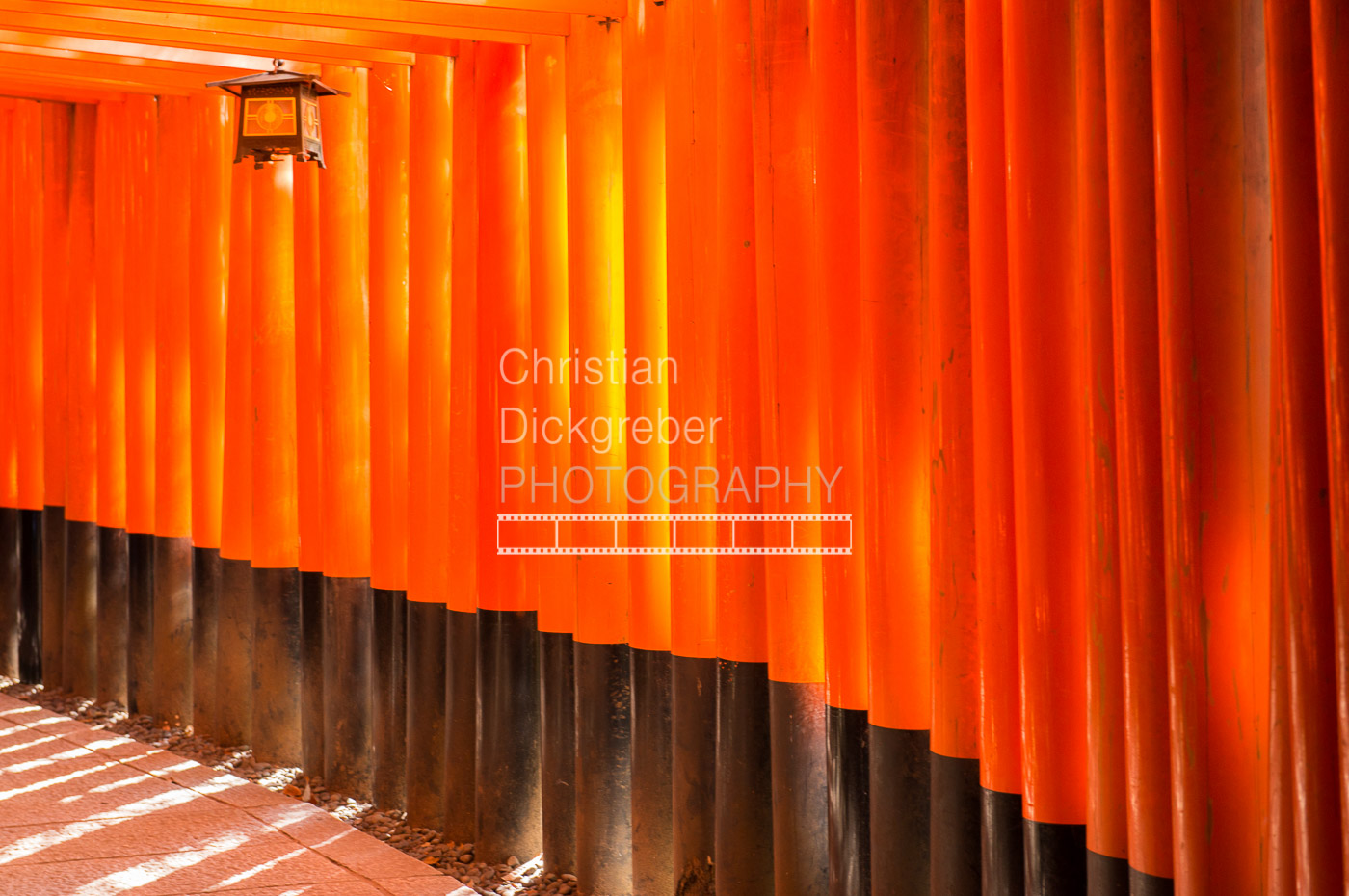 _CDP9075_website-3.jpg