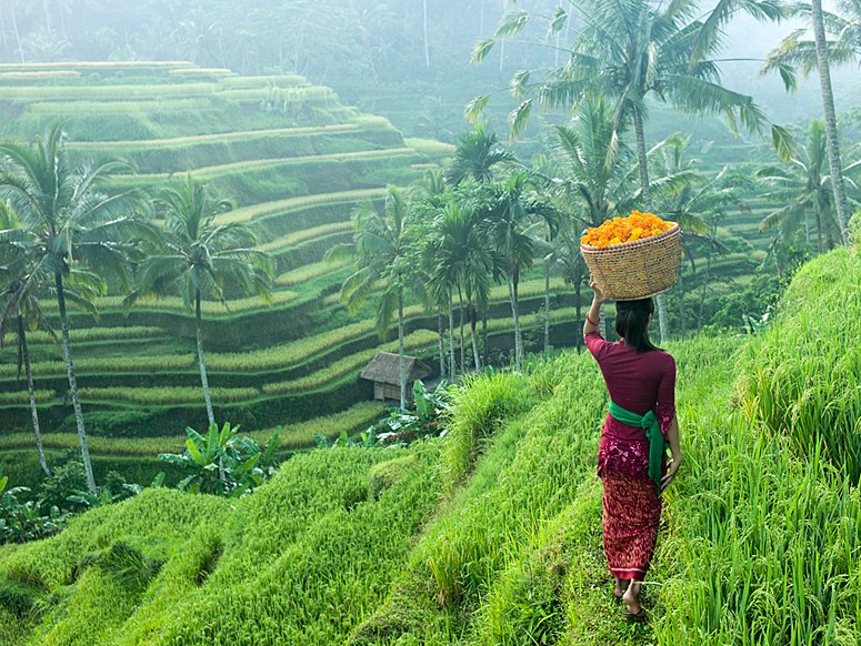 ubud 3.jpg