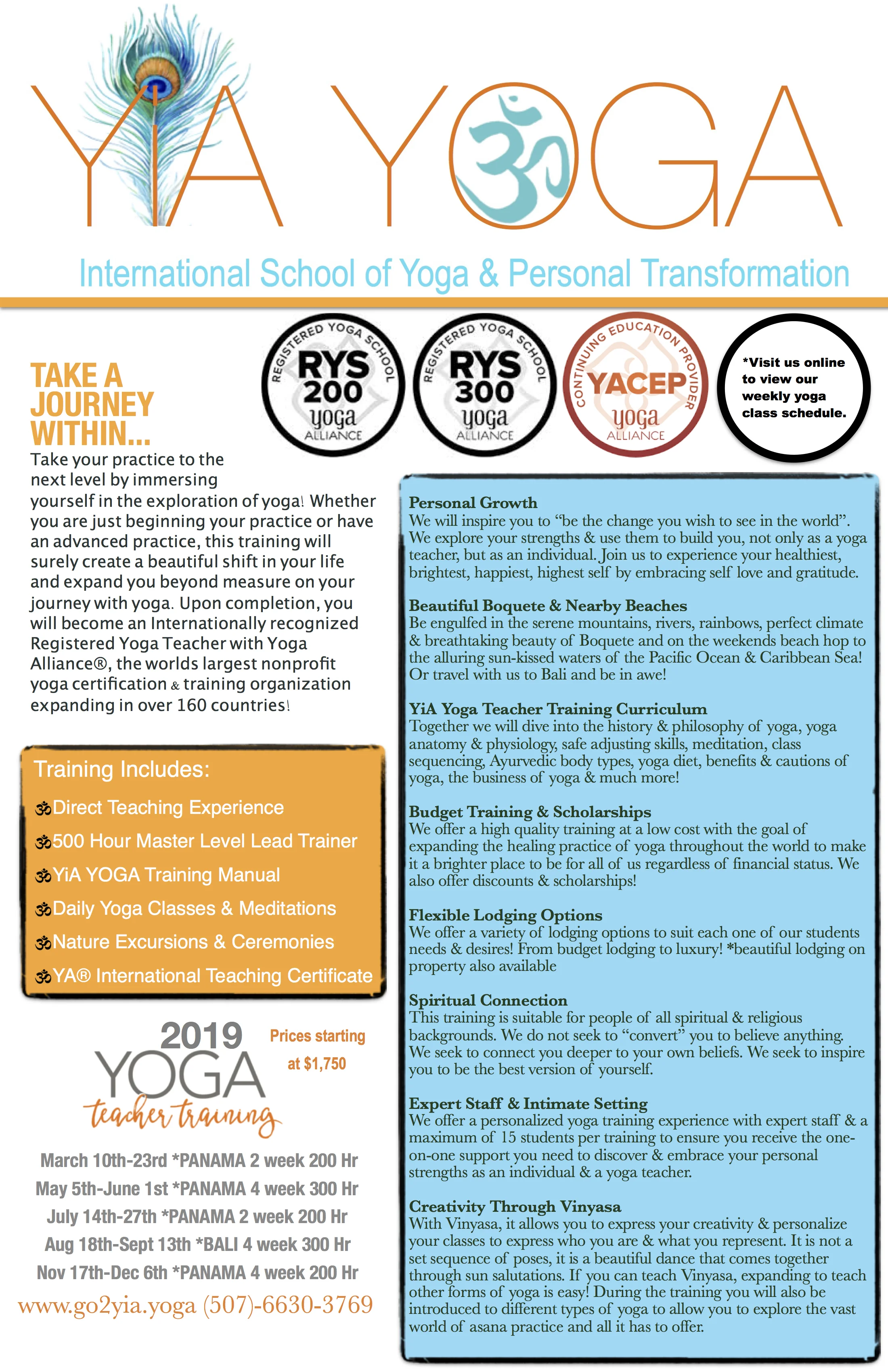 YiA Flyer English Updated.jpg