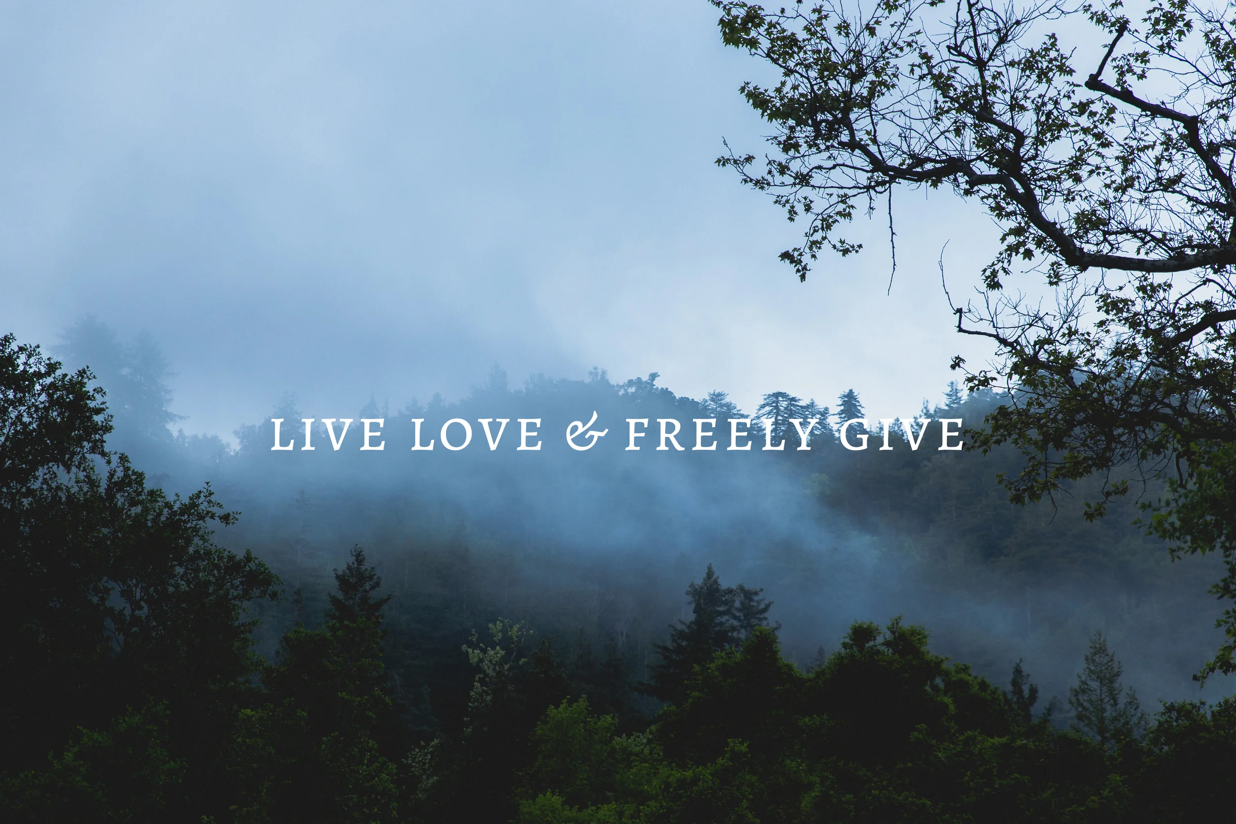 Cover Photo Fog 3.jpg