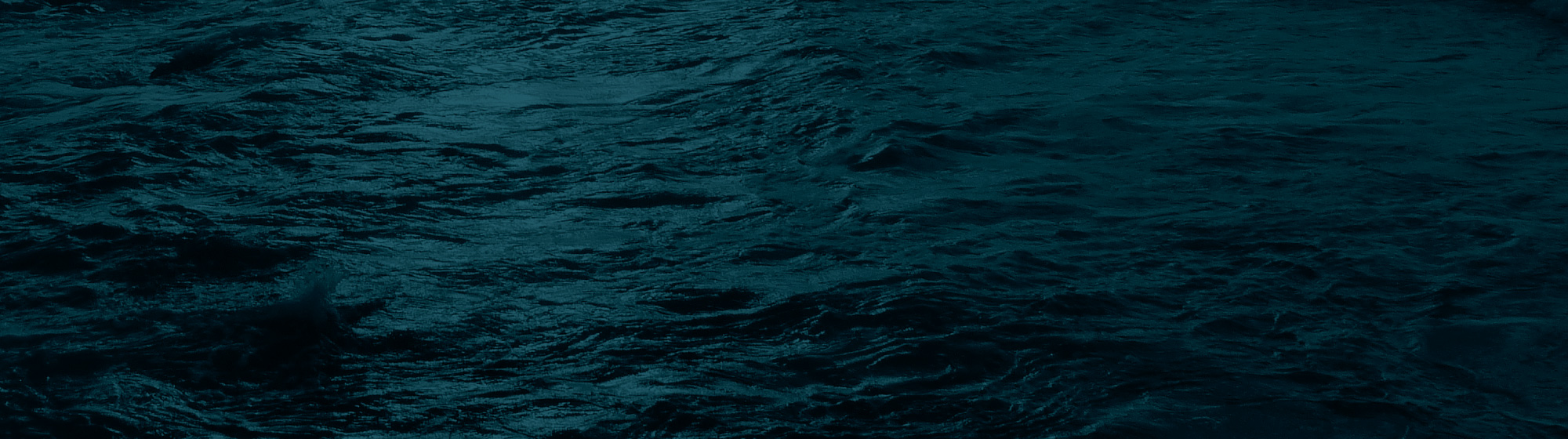 Banner-wild-ocean-2.jpg