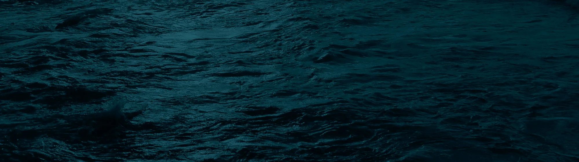 Banner-wild-ocean-2.jpg