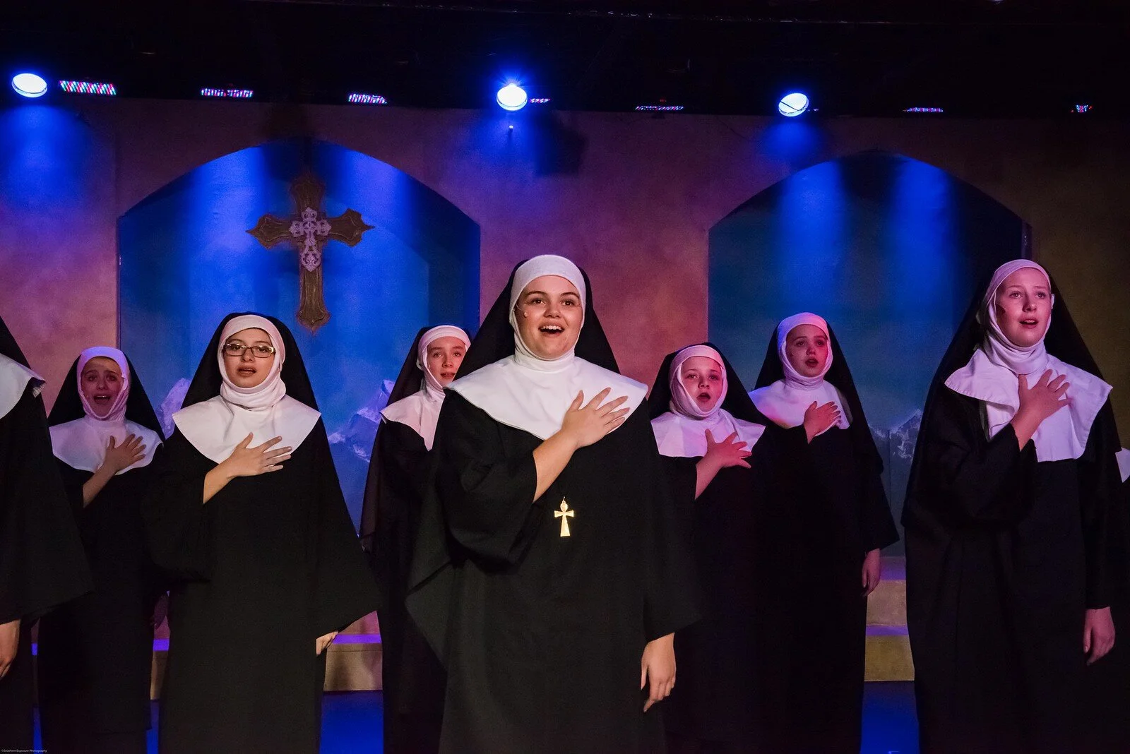 Sound of Music Banner.jpg