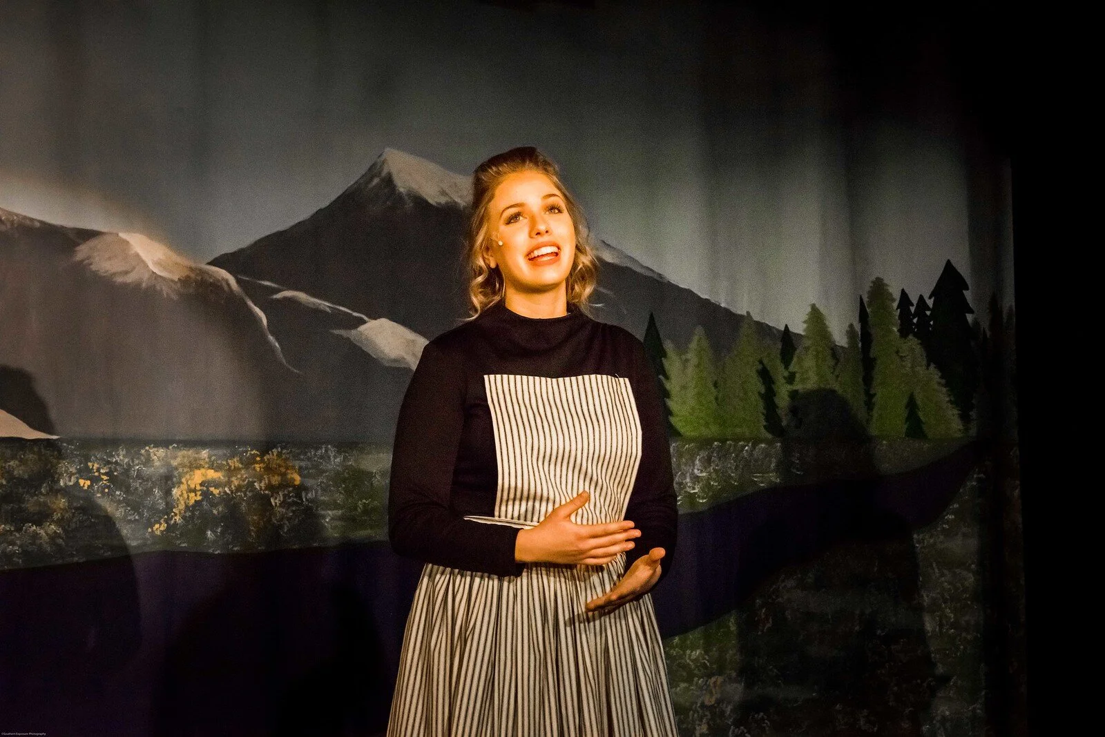 Sound of Music Banner 4.jpg