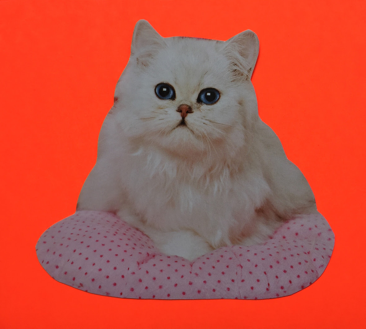 J. Morrison, Cat Cloud, 2016 collage