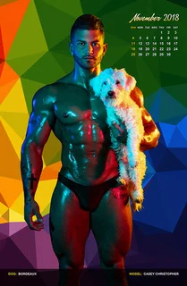 HeartThrobsHounds_November.jpg