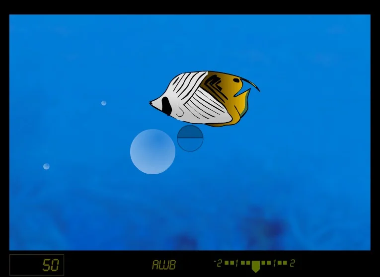 Ocean Explorer