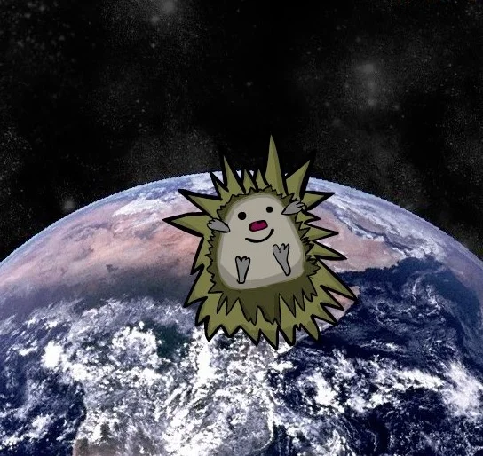 Hedgehog Launch 2
